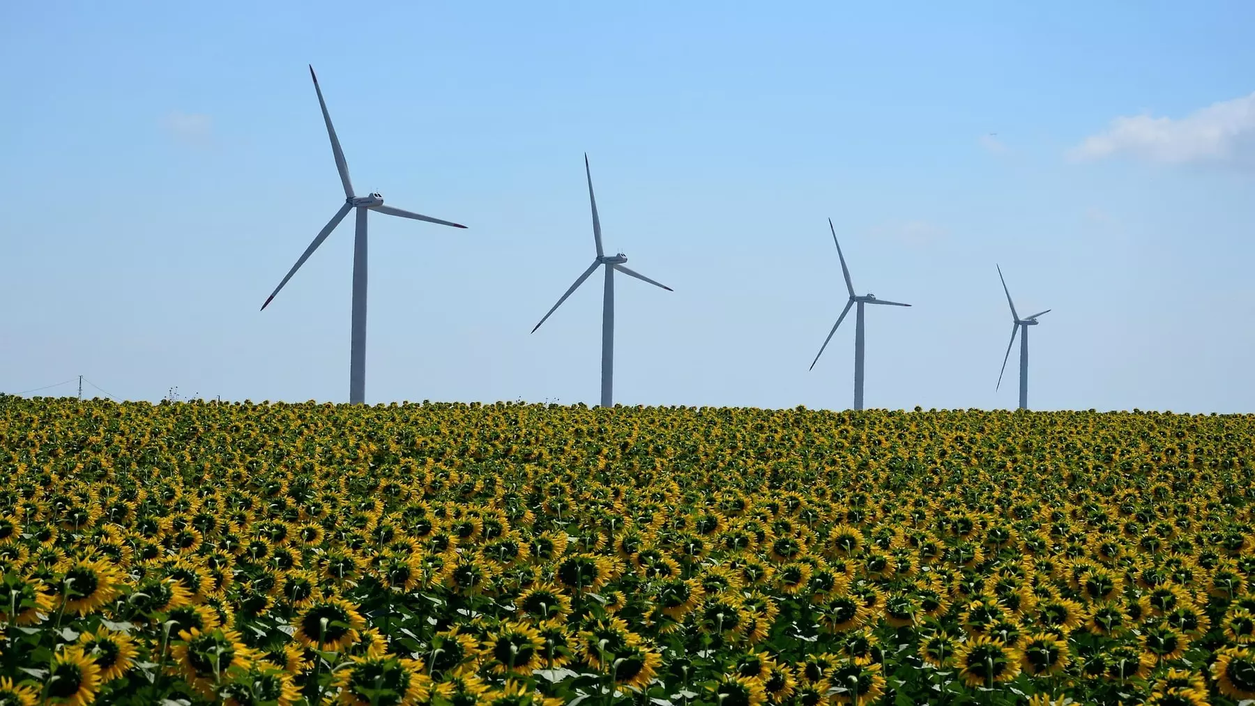 España Incumple la Agenda 2030: Un Llamado Urgente a la Acción
