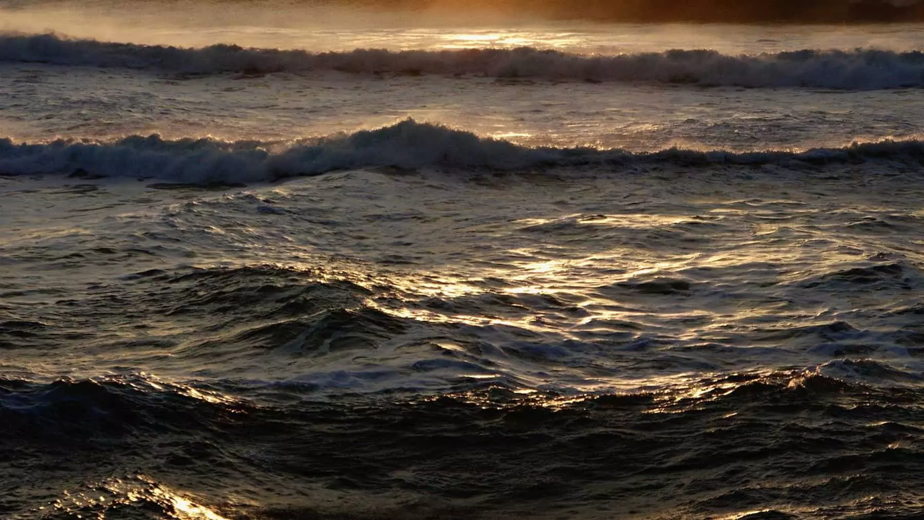 El misterioso mar sin orillas: un enigma oceanográfico con vida y desafíos únicos