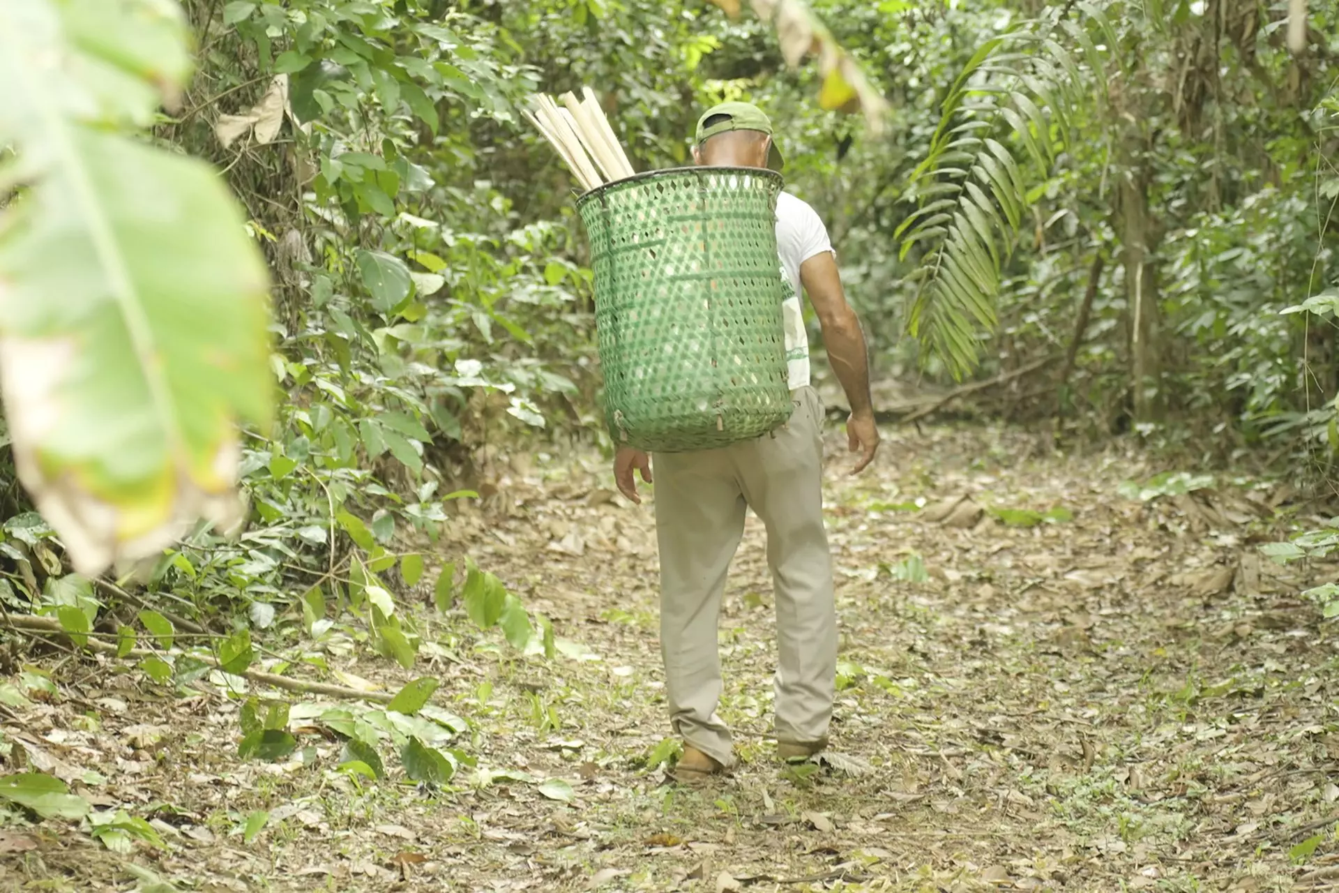 Estrategias Innovadoras para la Seguridad Alimentaria y la Resiliencia Climática en la Amazonía