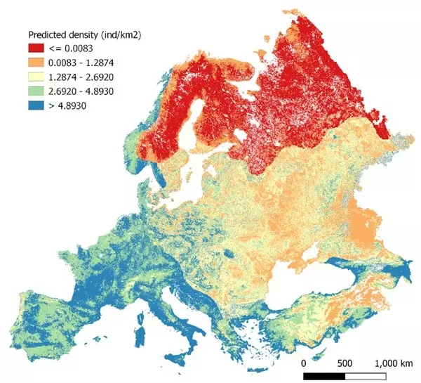 Primer mapa de jabalíes en Europa: Más de 200.000 ejemplares en Cataluña
