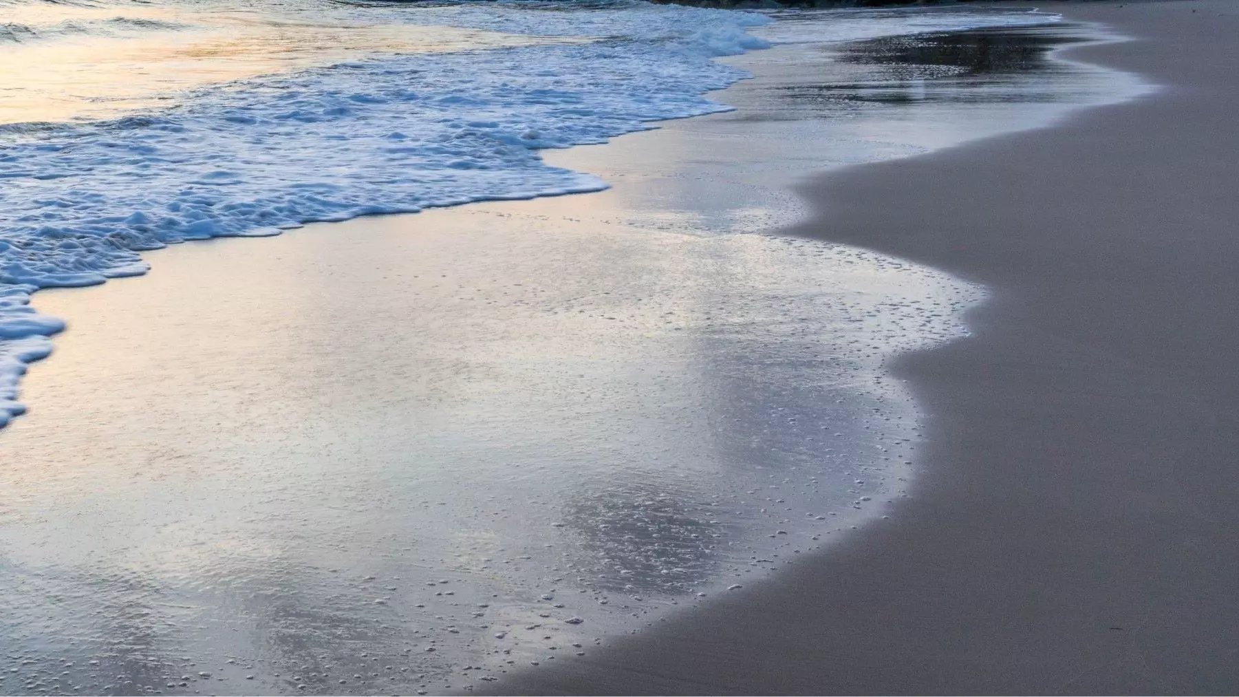 El Litoral de Matalascañas se Degrada: Una Amenaza para Doñana