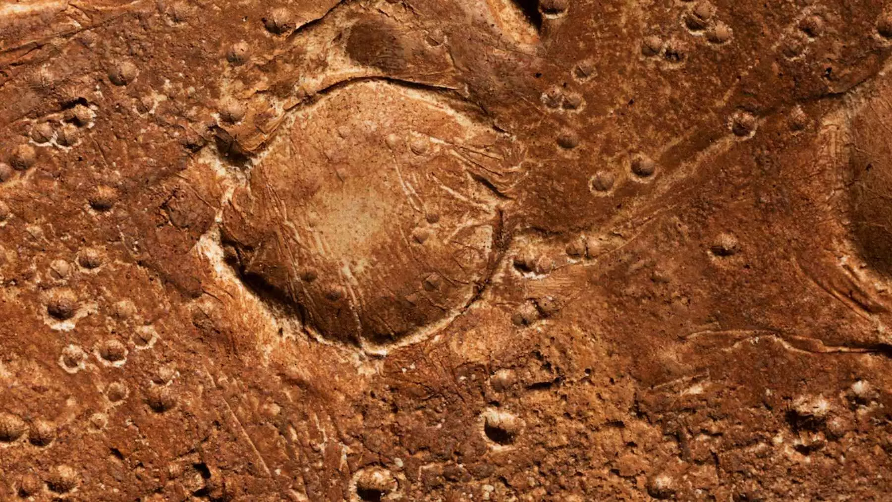 Descubrimiento Revolucionario: Meteorito Marciano "Black Beauty" Revela Agua Termal Temprana en Marte