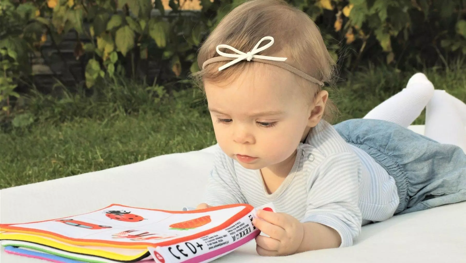 Peligros ocultos en juguetes de Europa: metales tóxicos, comercio electrónico y riesgos para la infancia