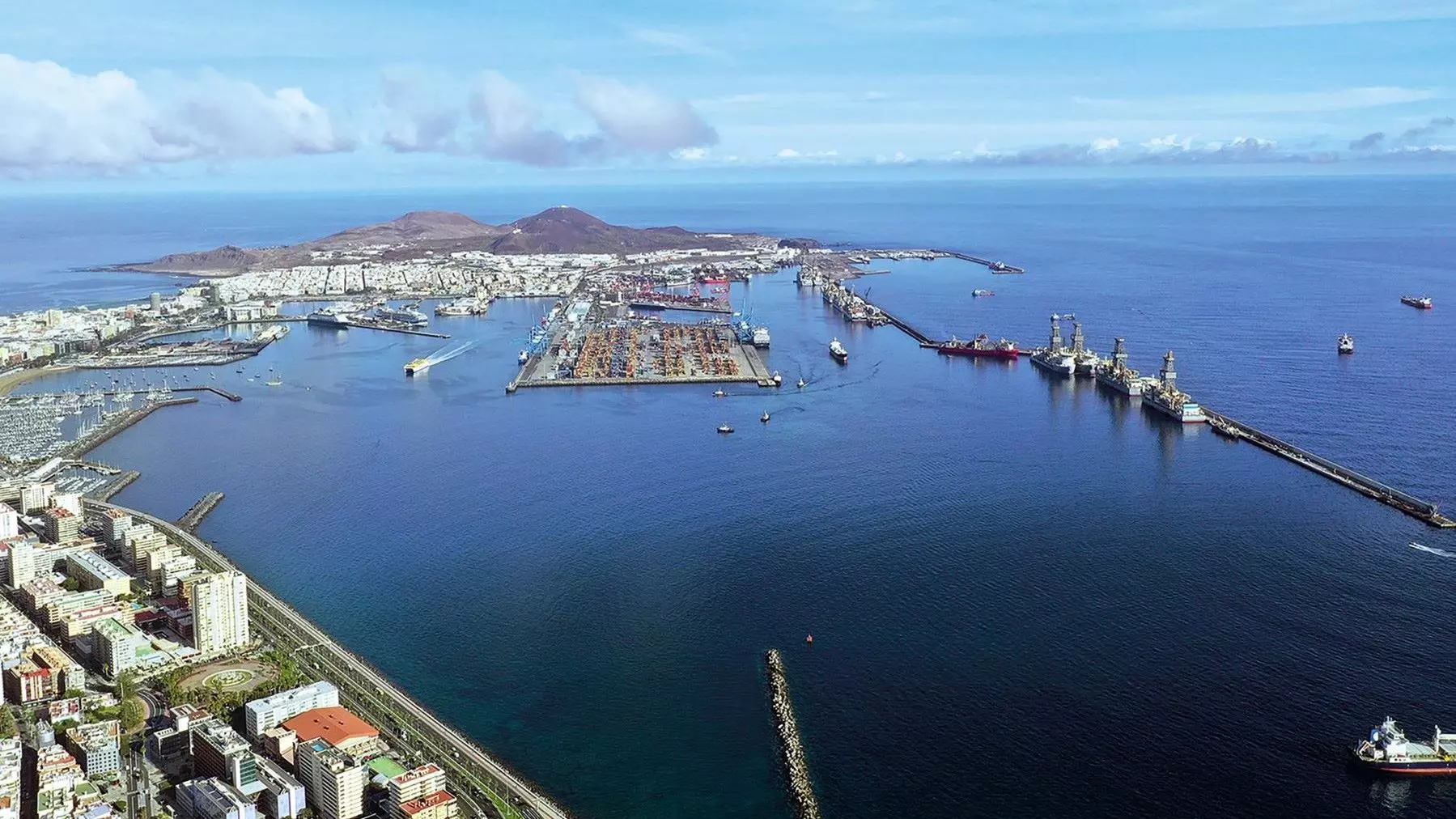 Arrecifes biomiméticos impulsan la recuperación de la biodiversidad marina en el Puerto de Las Palmas