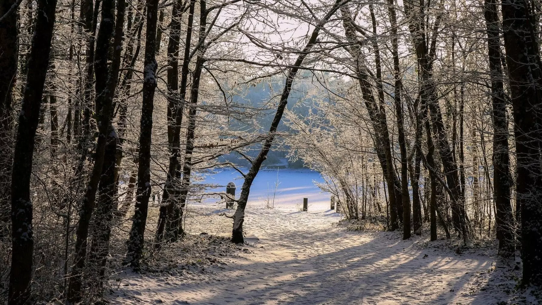 Pronóstico Climático Detallado para España: Temperaturas, Precipitaciones y Vientos para Hoy, 7 de Enero de 2026