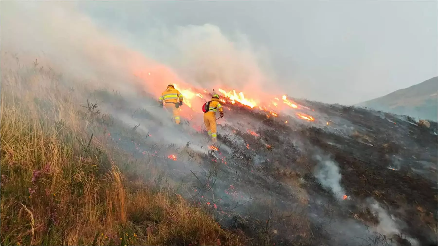 Nuevas medidas para la restauración forestal post-incendios en España tras el verano de 2025