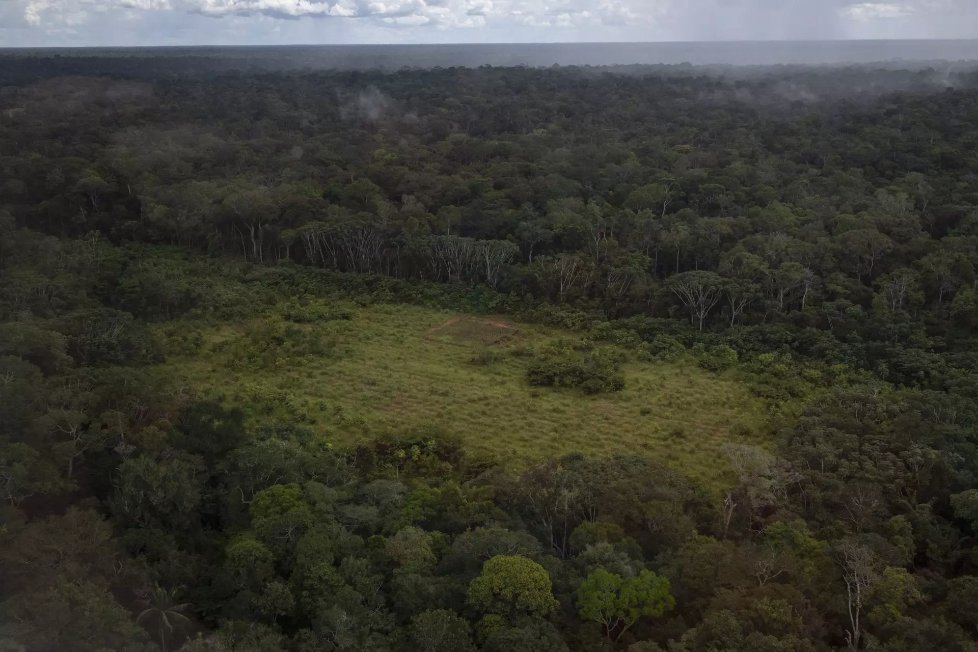 Humo de la deforestación amazónica nutre la selva virgen con fósforo, revela estudio