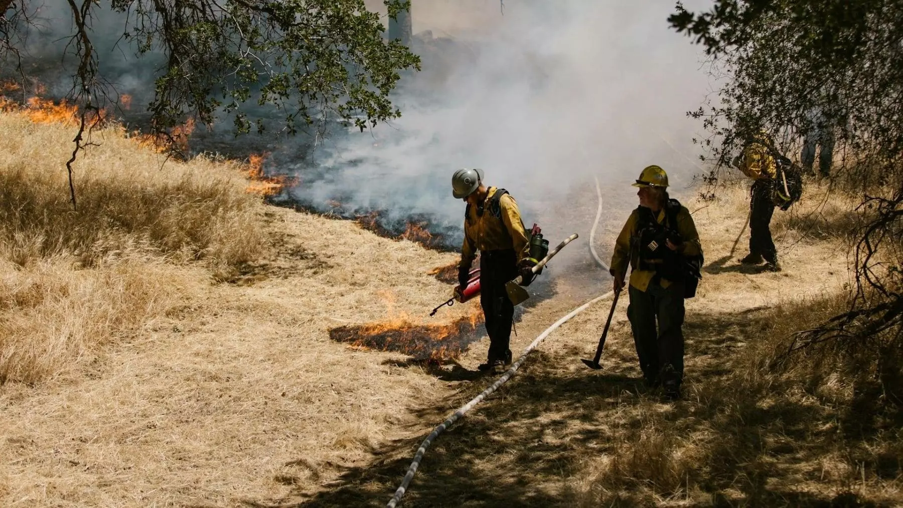 Galicia: La Gestión Territorial como Escudo ante Incendios Forestales Extremos