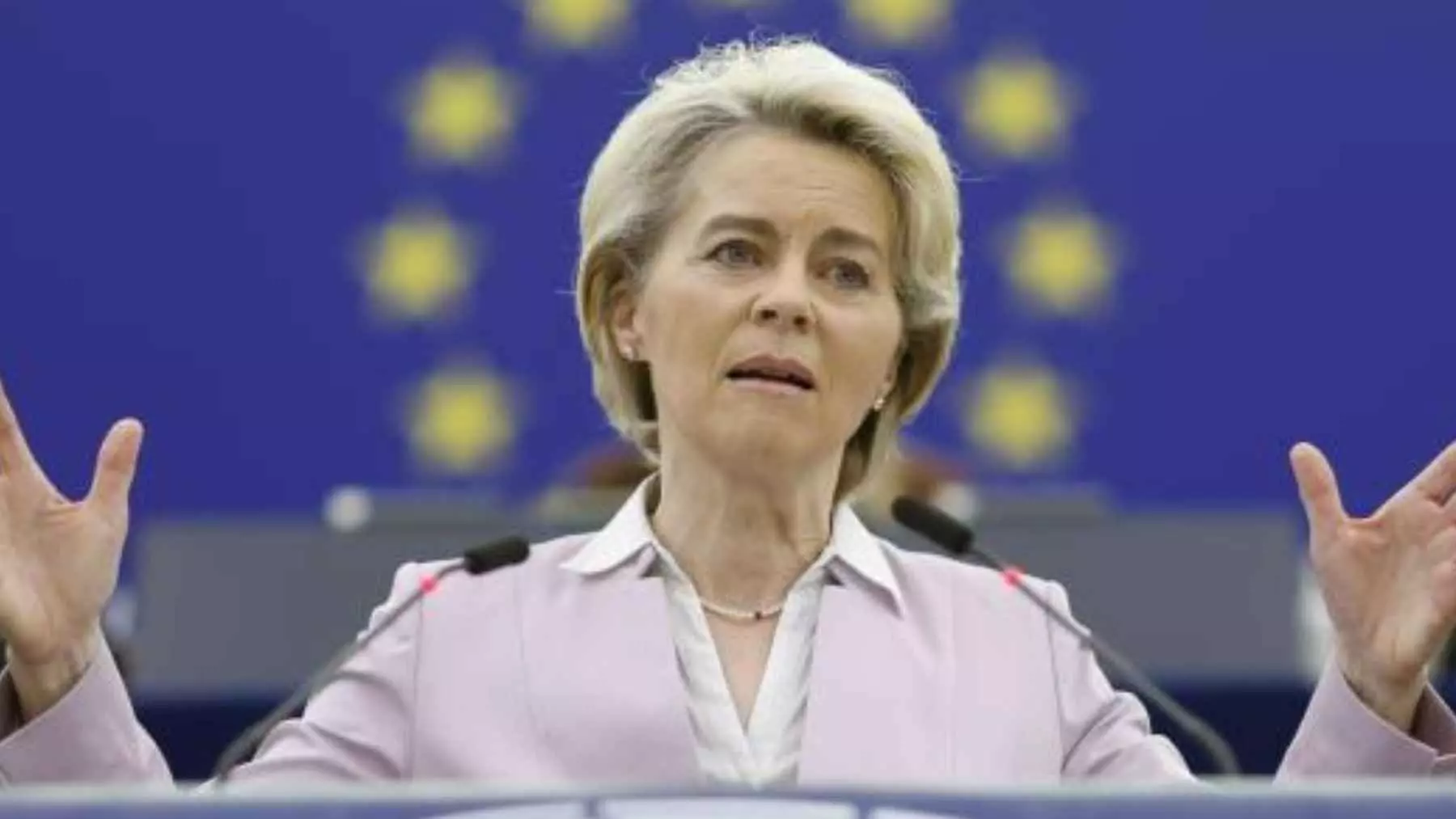 La Unión Europea implementará nuevas normativas de bienestar animal para perros y gatos a partir de 2028