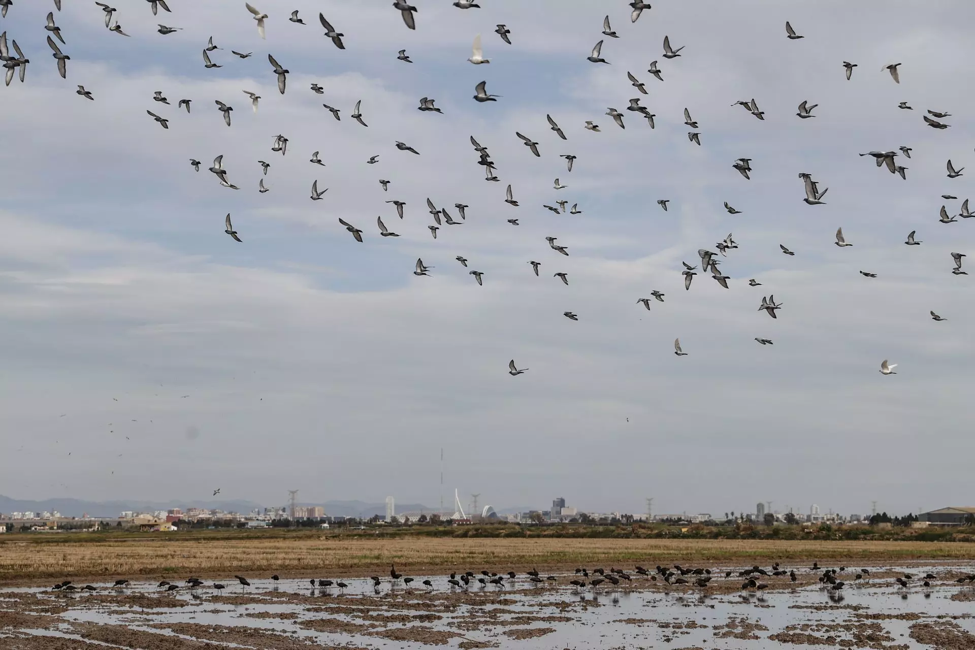 La revitalización de los humedales: Estrategia clave ante la crisis climática