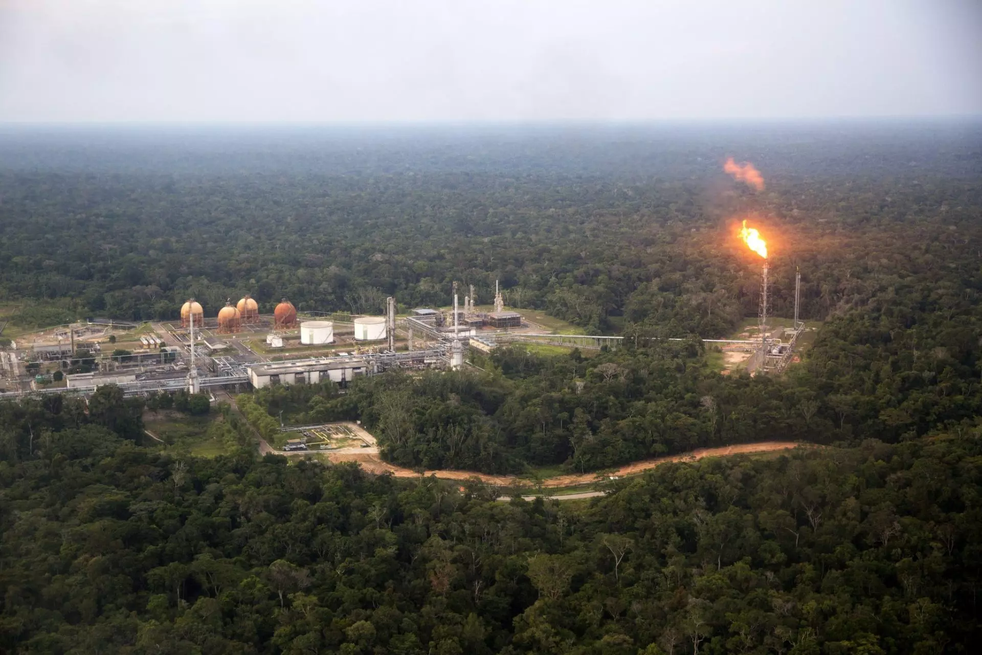 IPBES: Crecimiento Económico vs. Biodiversidad, un Riesgo Global