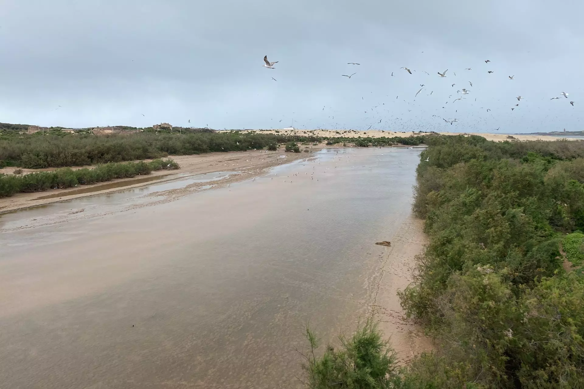 Marruecos Intensifica Esfuerzos en la Preservación de Humedales Vitales