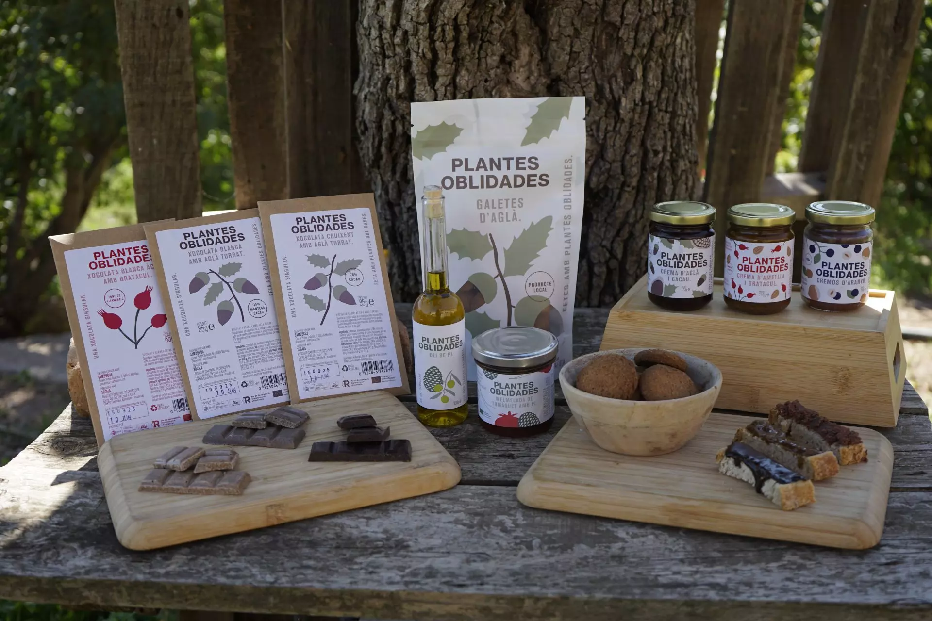 Aprovechar los bosques: un camino hacia la gestión forestal rentable y resistente al fuego