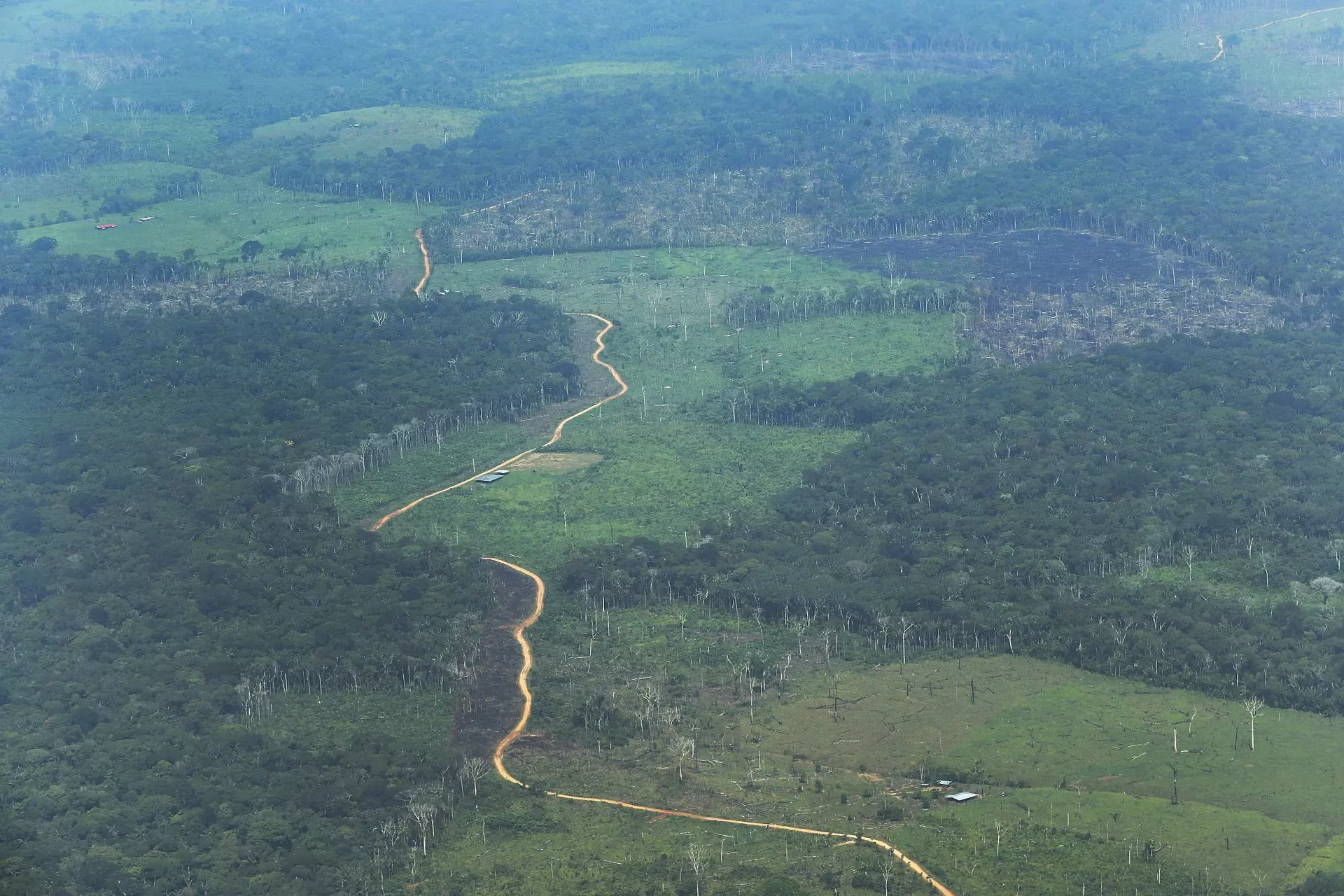 La Amazonía colombiana: Un ecosistema bajo amenaza por actividades ilícitas