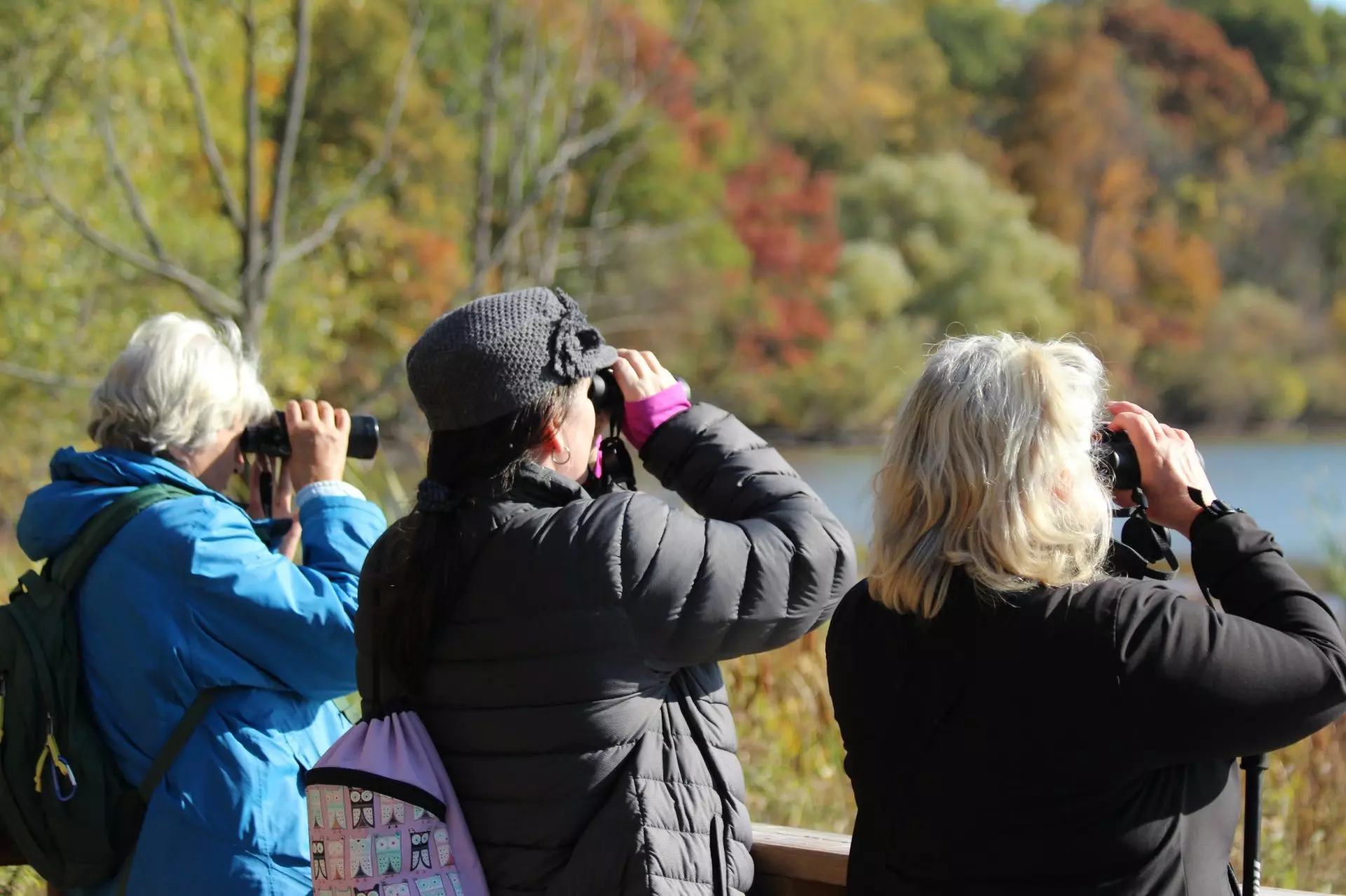 Ornitología Femenina: Un Vuelo Hacia la Seguridad y la Visibilidad