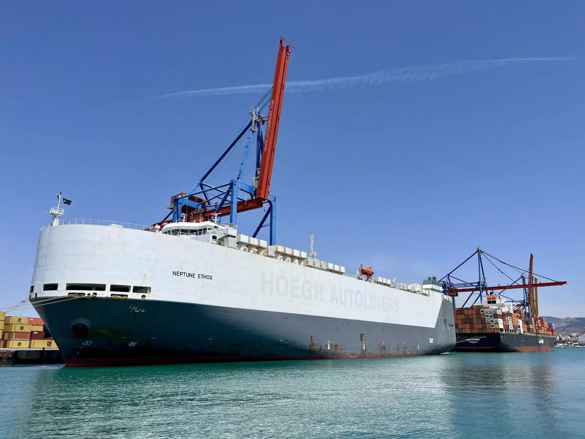 La mitad de las especies marinas exóticas en aguas europeas llegan como "polizones" en barcos