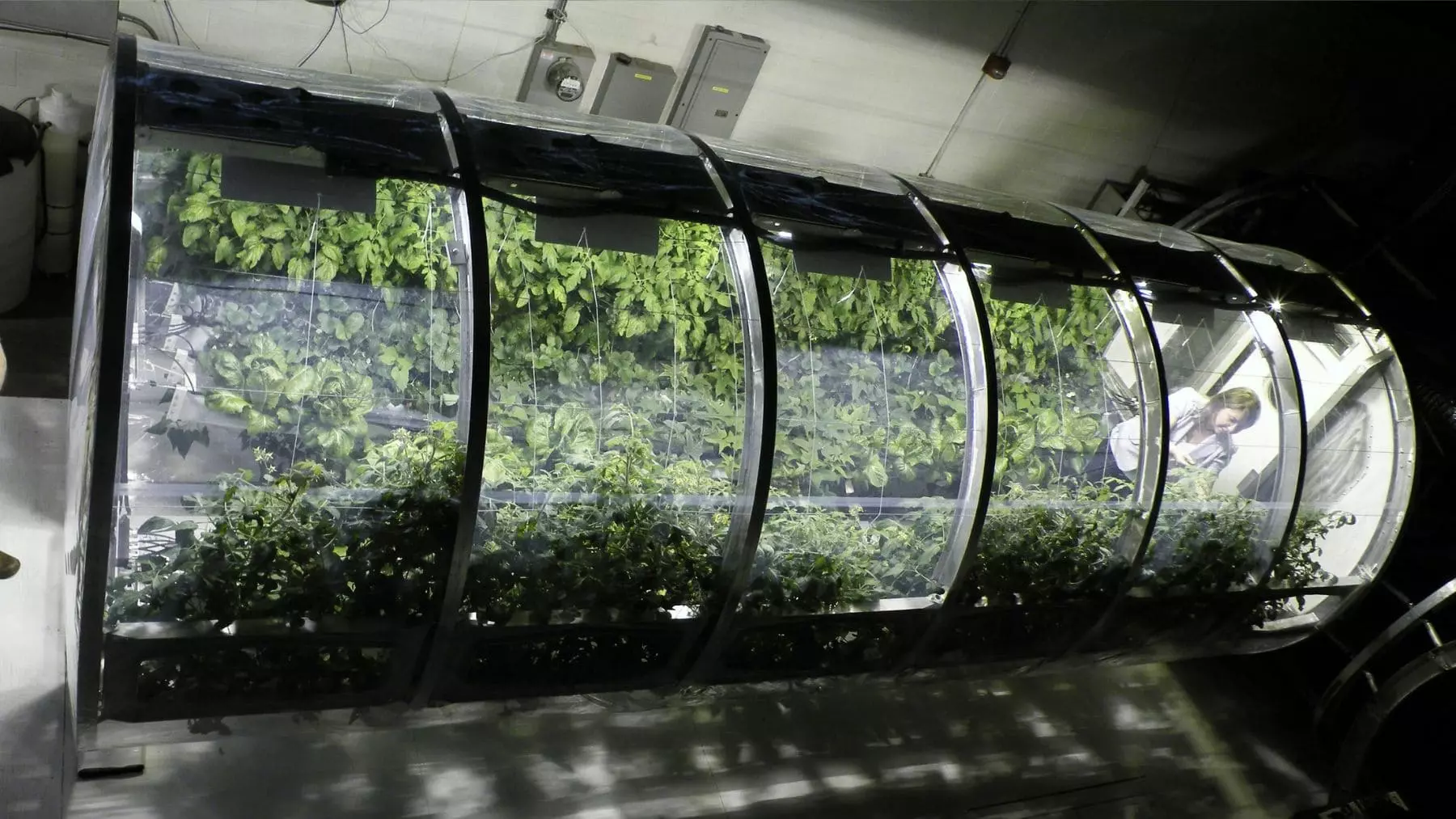 Fertilizante Espacial: La Transformación de Aguas Residuales en Recursos Agrícolas para Asentamientos Interplanetarios