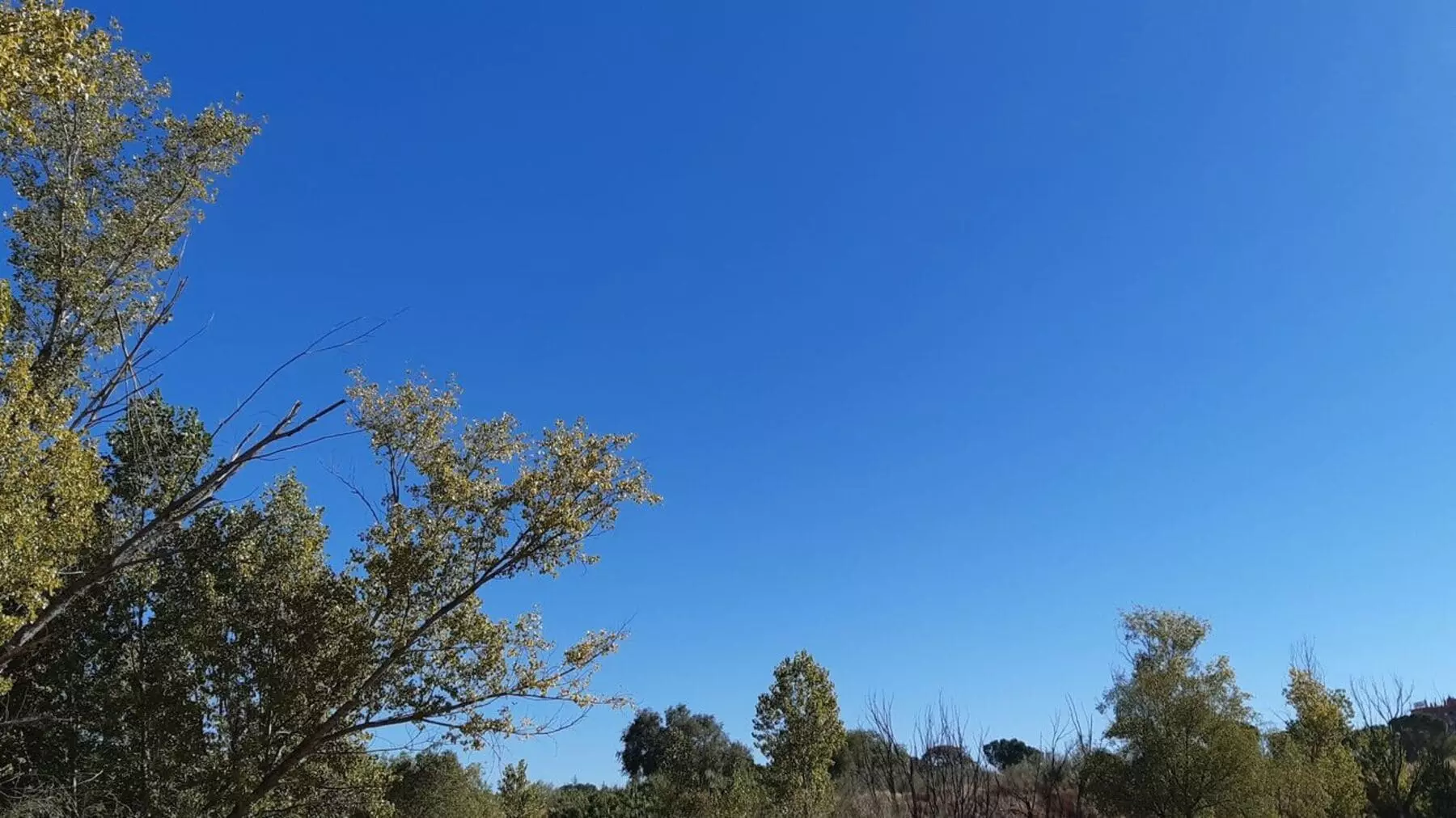 España: Días soleados y temperaturas en alza el 12 de marzo