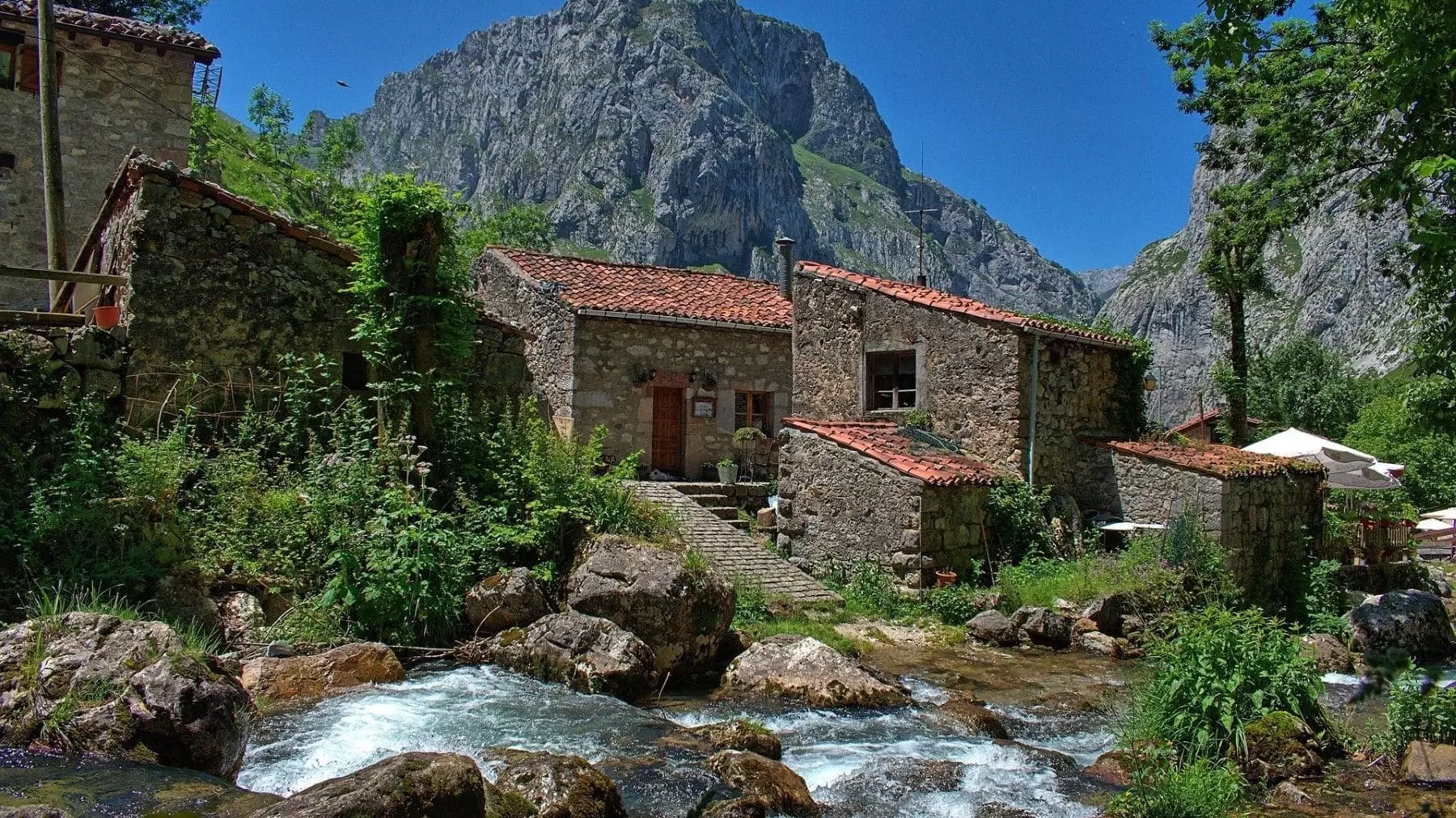 La Salud de los Ríos en Declive: Amenazas por Represas y Crisis Climática