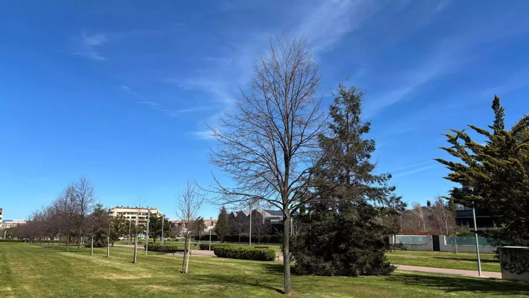 Pronóstico Climático Nacional: Temperaturas en Ascenso y Estabilidad Atmosférica Generalizada