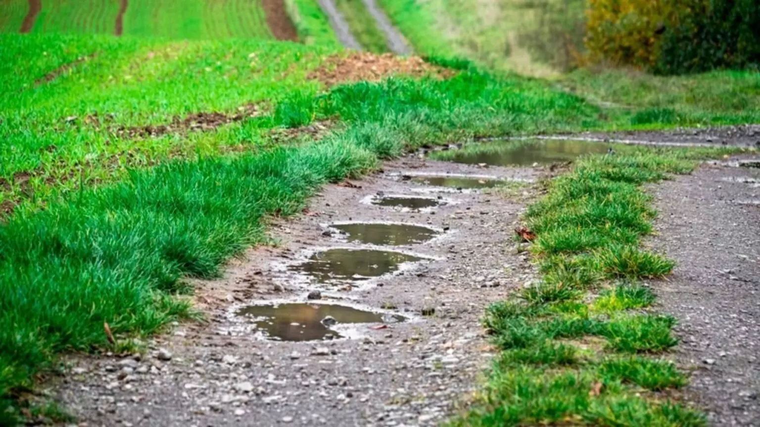 Galicia lidera la conservación ambiental con una ley pionera para la recuperación de ecosistemas