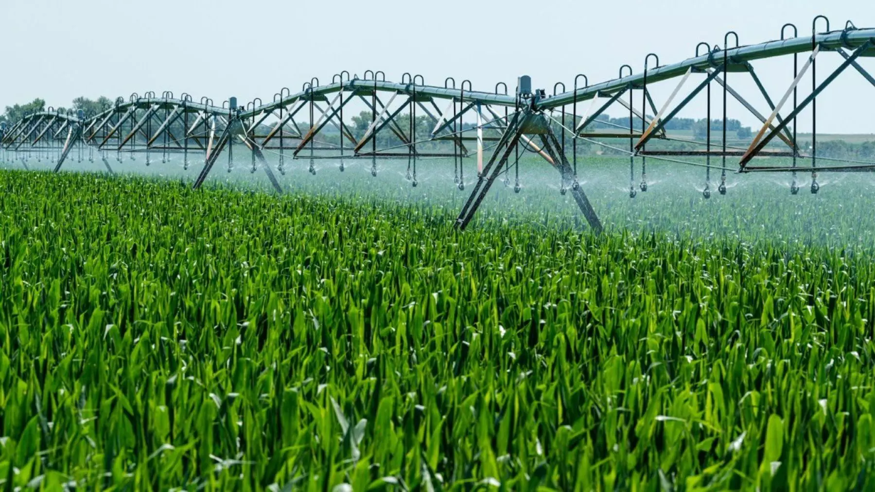 Revolución del Riego: España Invierte 170 Millones en Digitalización Agrícola