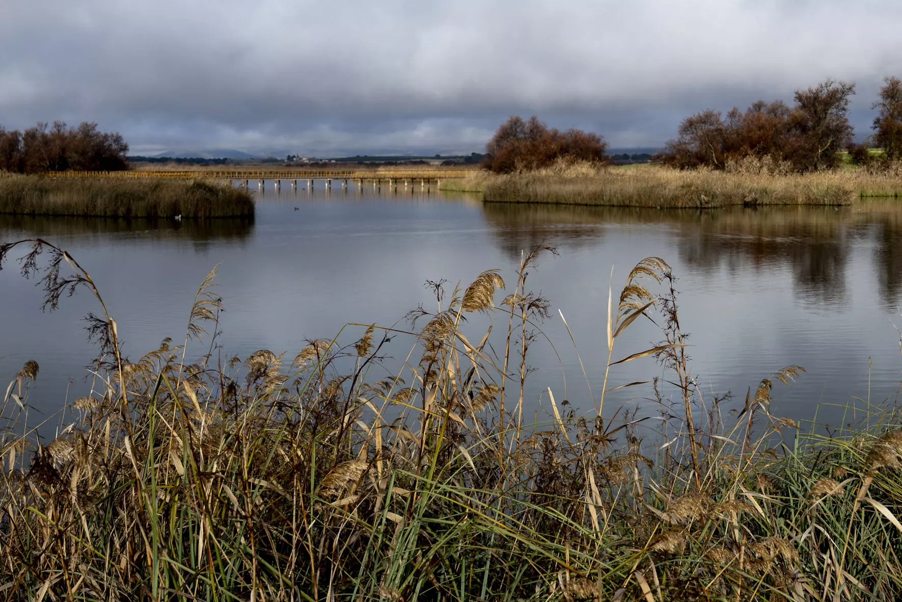 Máxima Inundación en el Parque Nacional de Las Tablas de Daimiel