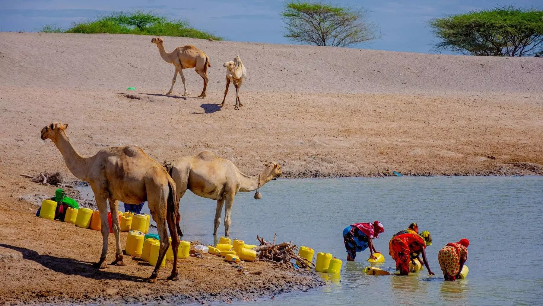 Día Mundial del Agua 2026: Escasez y Desigualdad en el Acceso Hídrico