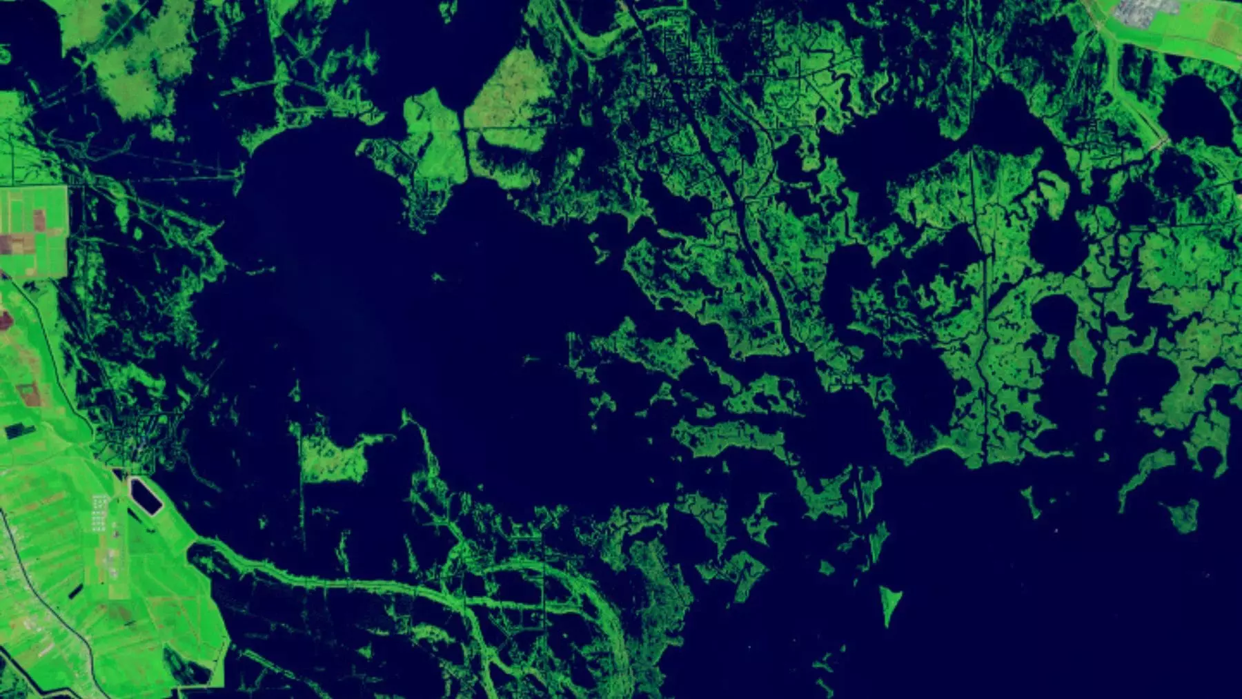 Un Vórtice Misterioso en el Ártico: Un Fenómeno Clave para la Vida Marina Revelado por la NASA