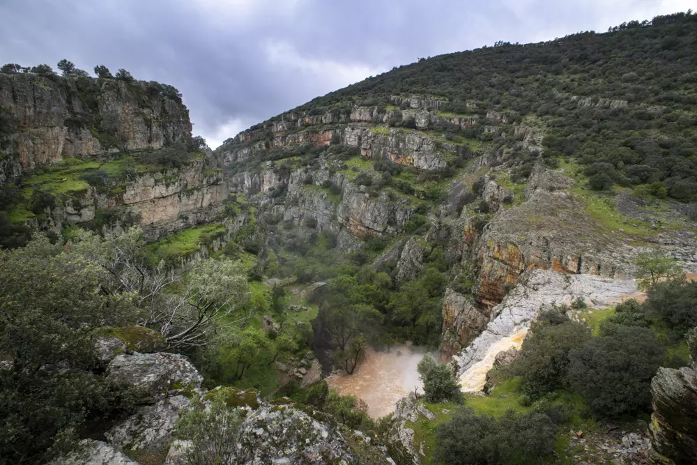 Ampliación del Parque Natural de Despeñaperros impulsa la biodiversidad en Sierra Morena