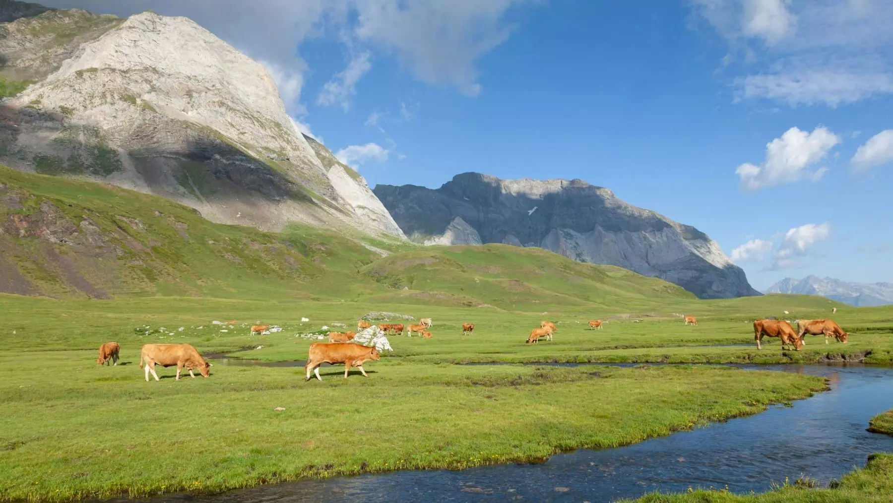 La ganadería ecológica en los Pirineos como escudo contra el fuego y el cambio climático