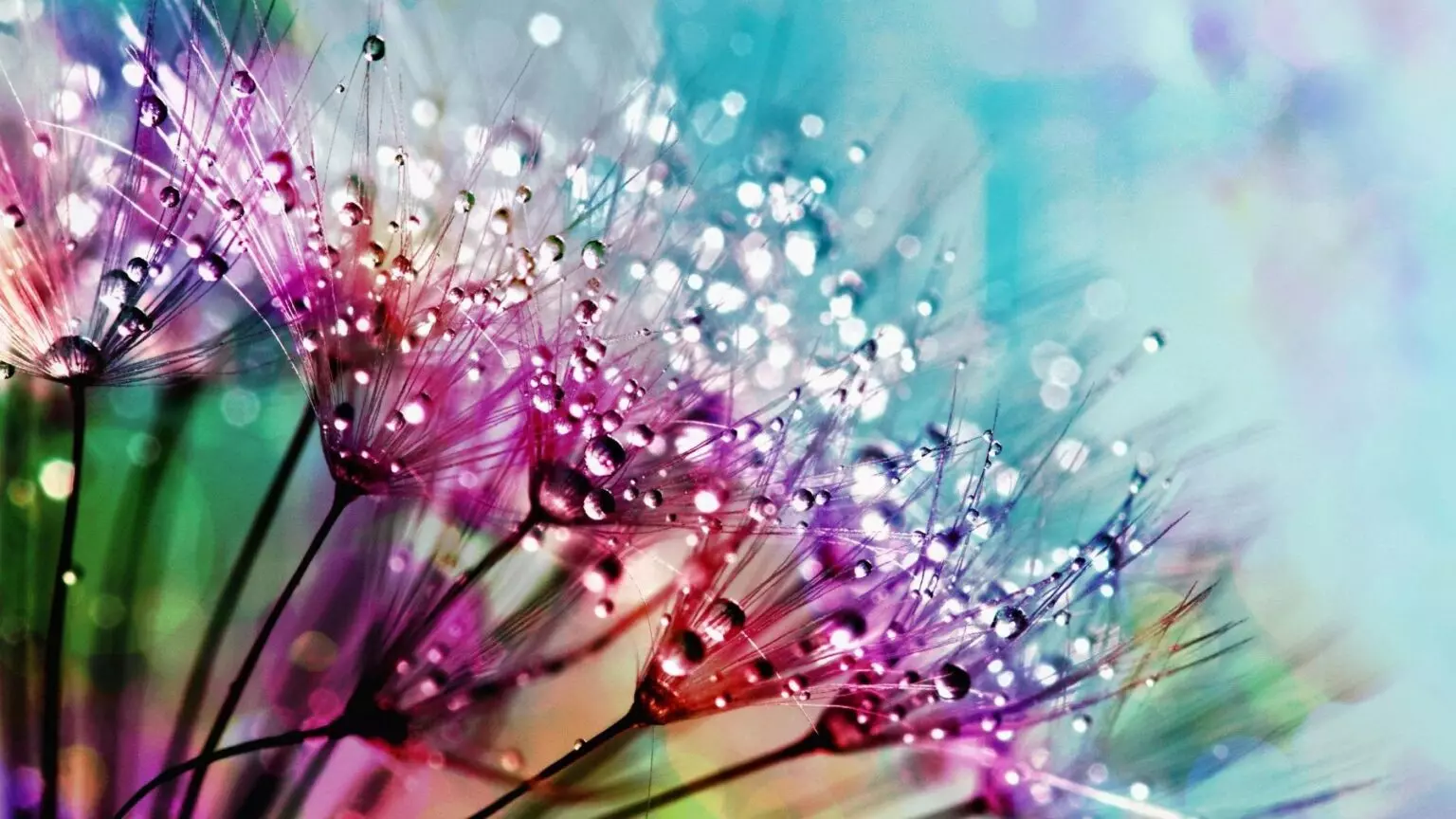 Fuertes lluvias y viento azotarán España: AEMET emite alertas por temporal