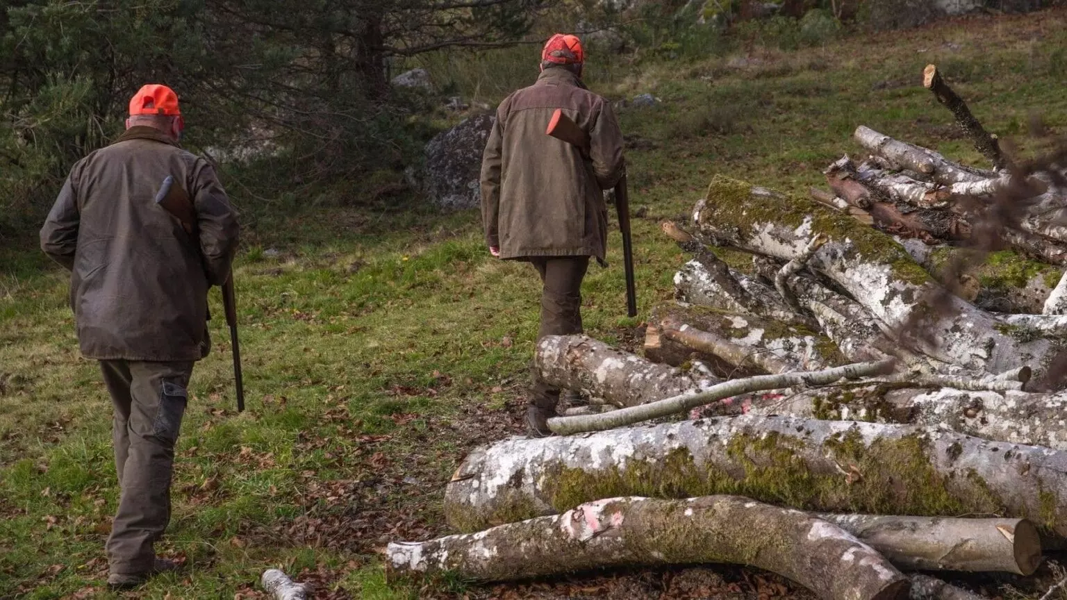 La controvertida decisión de permitir la caza en áreas incendiadas de León desata críticas de científicos y ecologistas