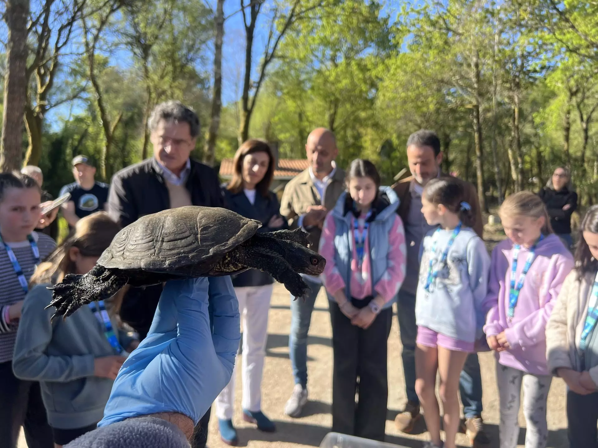 El Galápago Europeo Retorna a Humedales Restaurados en Pontevedra