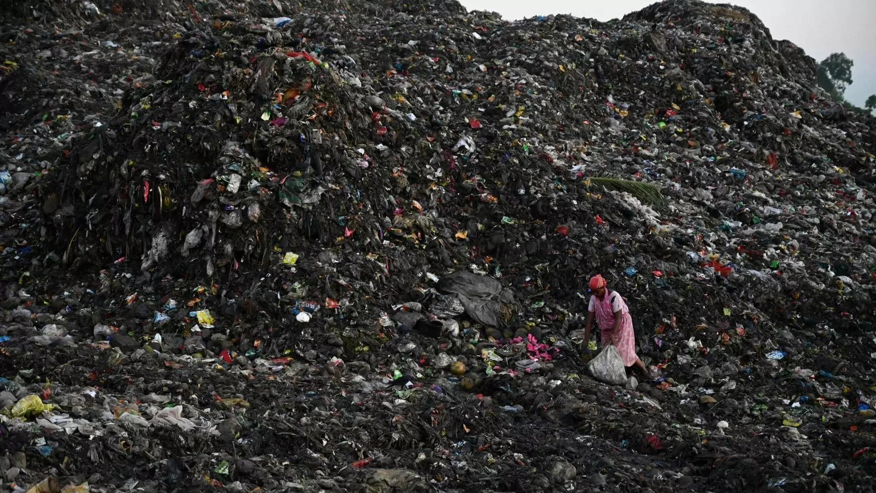 La Crisis Global de Residuos: Un Llamado Urgente en el Día Internacional del Desperdicio Cero