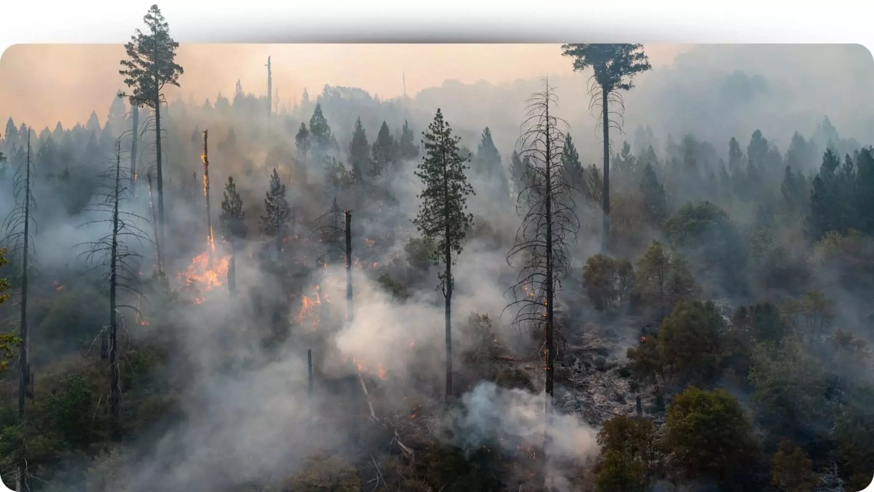 Canarias implementa tecnología robótica avanzada para la prevención de incendios forestales y mejora de la seguridad