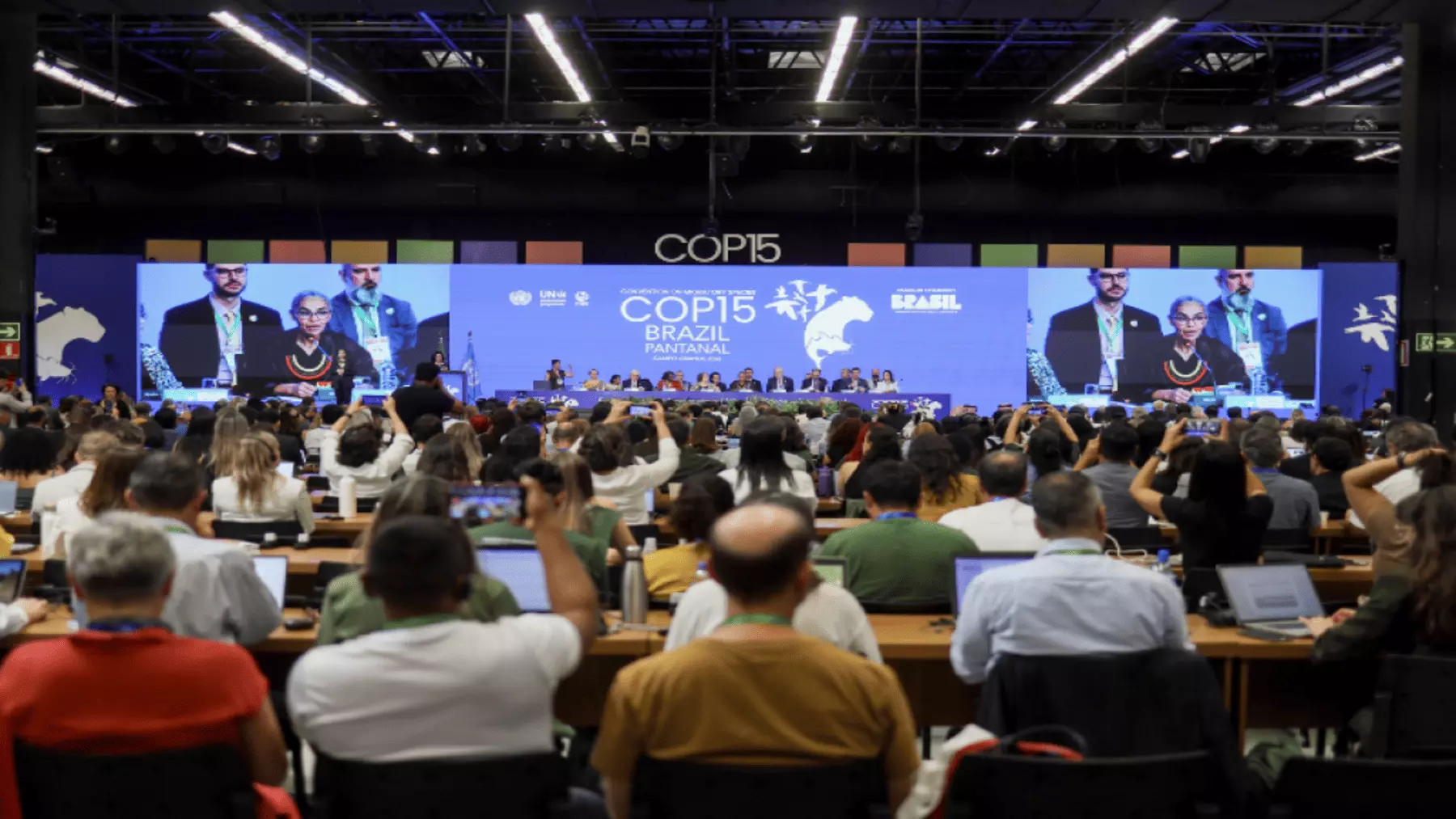 La COP15 Fortalece la Protección de Especies Migratorias con Nuevas Medidas y Resoluciones de la ONU