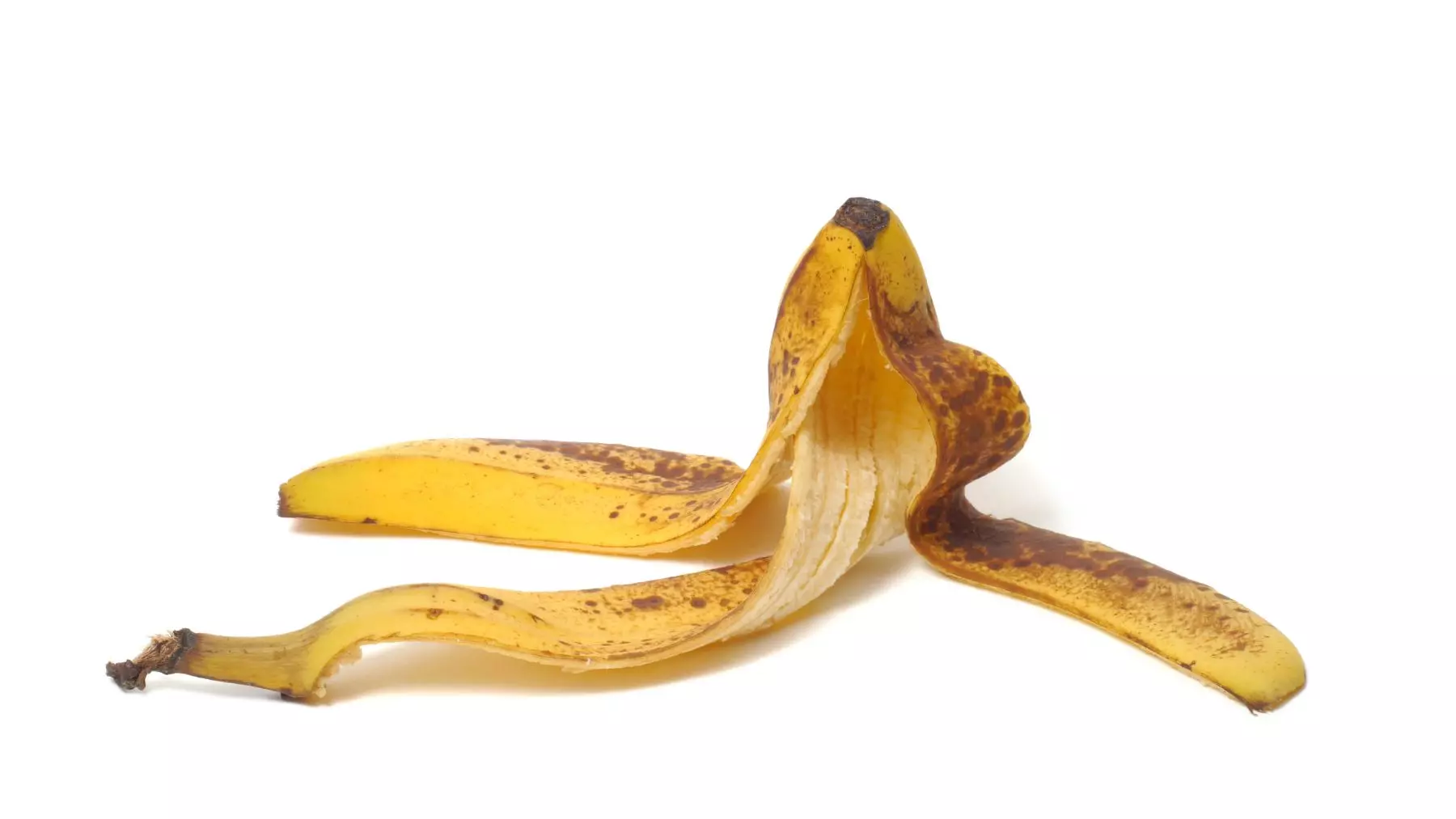 Cáscaras de Plátano: El Secreto de Jardineros Expertos para Plantas Robustas