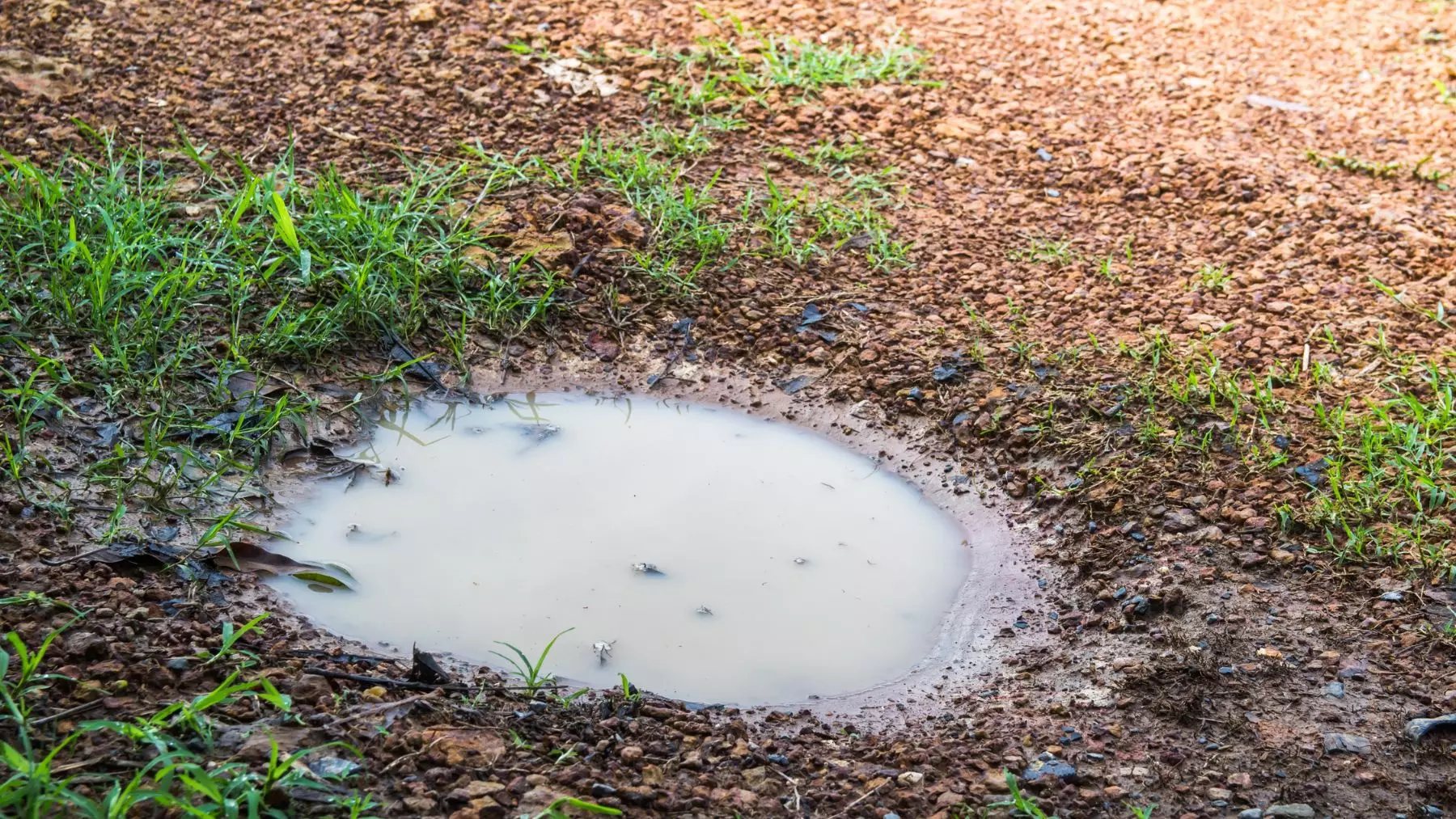 La agricultura convencional daña la capacidad del suelo para retener agua y agrava las sequías extremas