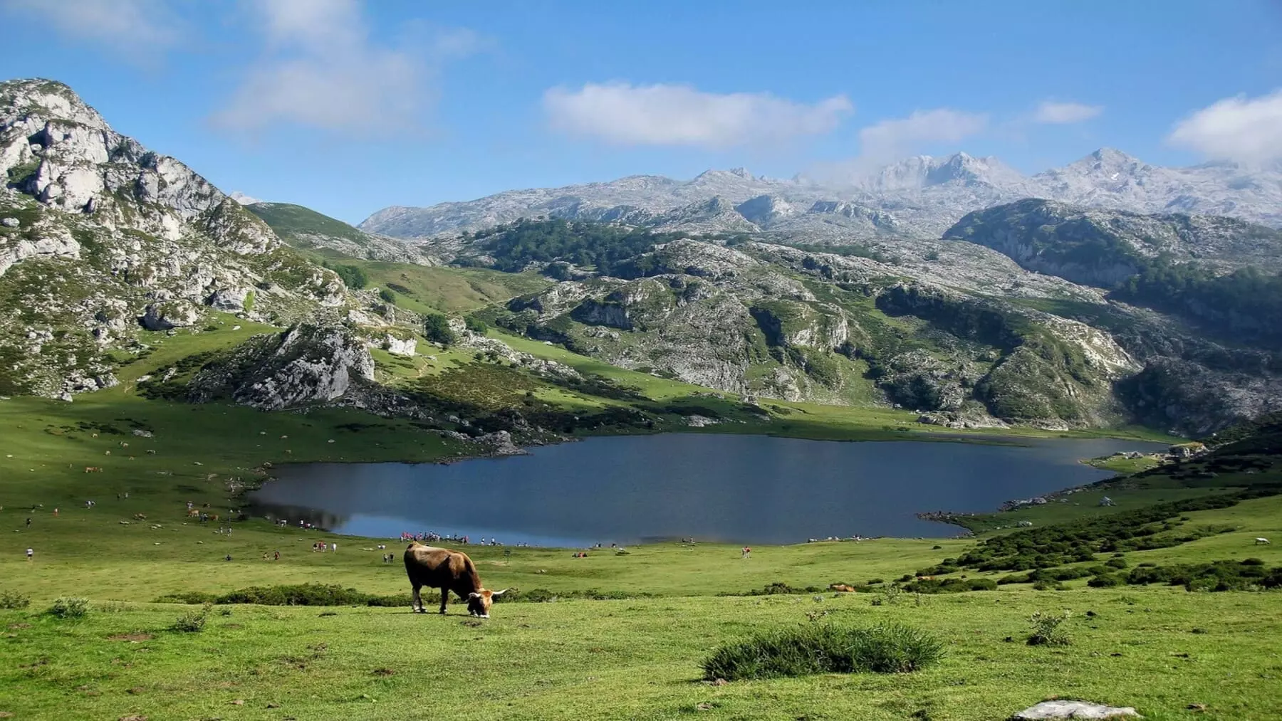 Los Picos de Europa: La Joya Natural Reconocida Globalmente