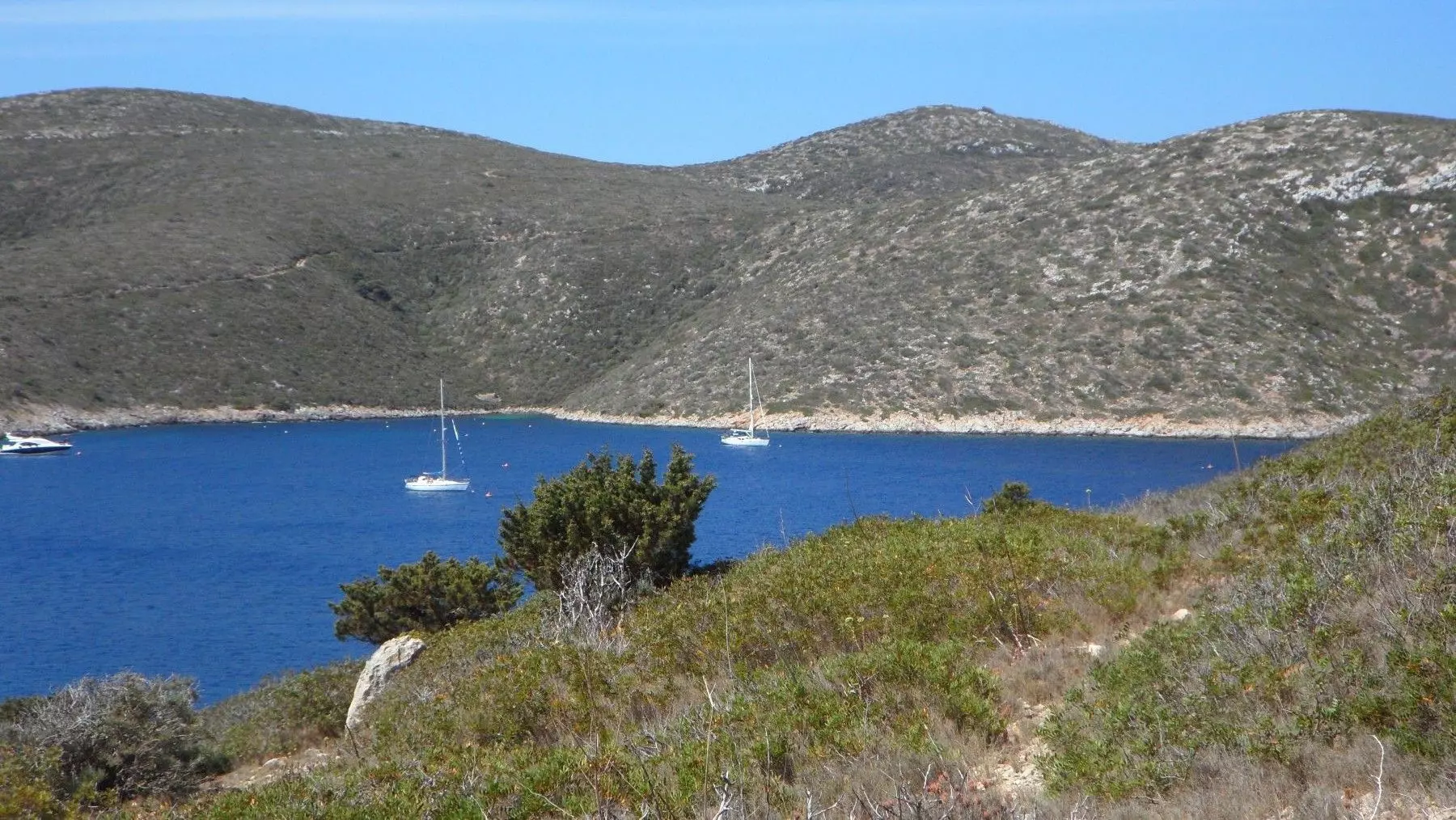 La ineficacia de la protección amenaza la biodiversidad marina de Cabrera con una reducción del 40%