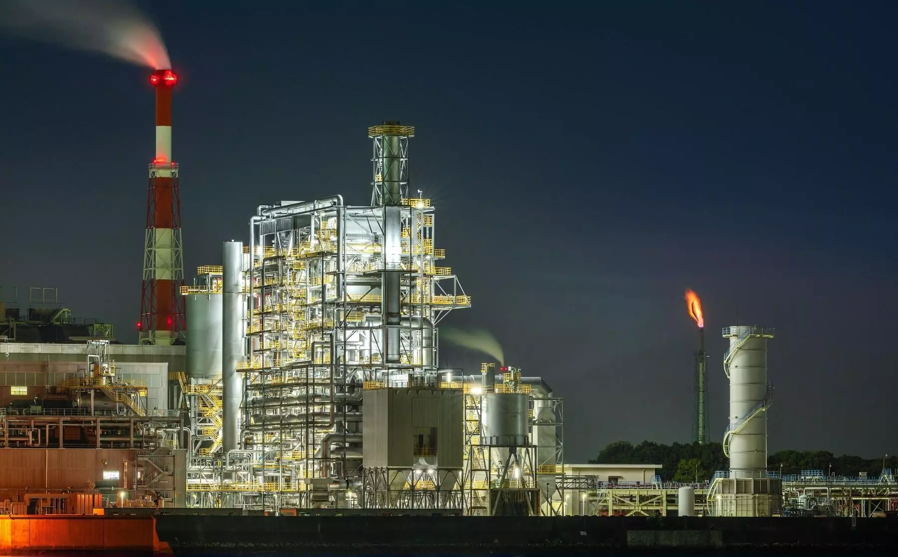 Plantas de Energía Fósil Causan Más Muertes de Aves que Parques Eólicos, Según la Comisión Europea