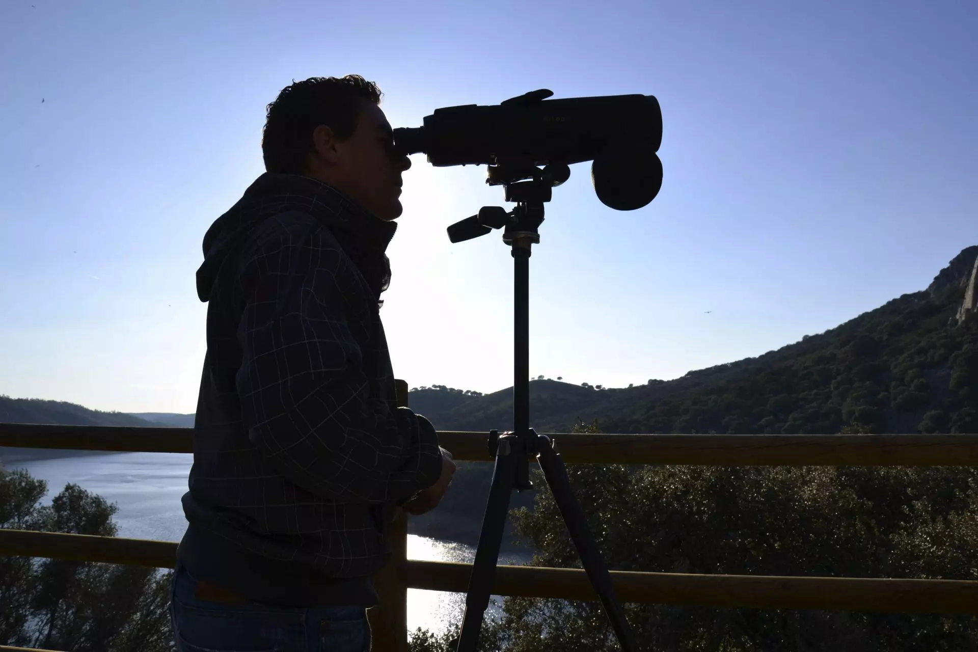 Migración Aviar en el Estrecho de Gibraltar: Un Flujo de Vida Alado