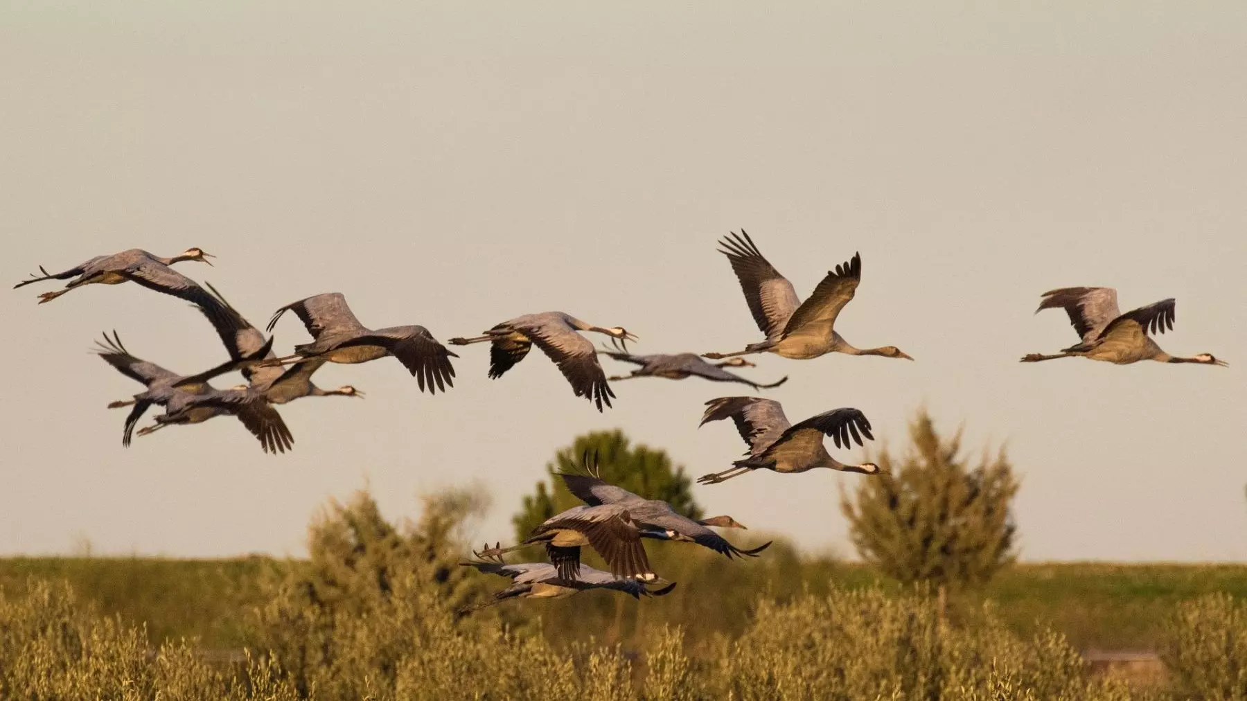 Cambios en la Red Natura 2000 de Extremadura desatan controversia y acciones legales