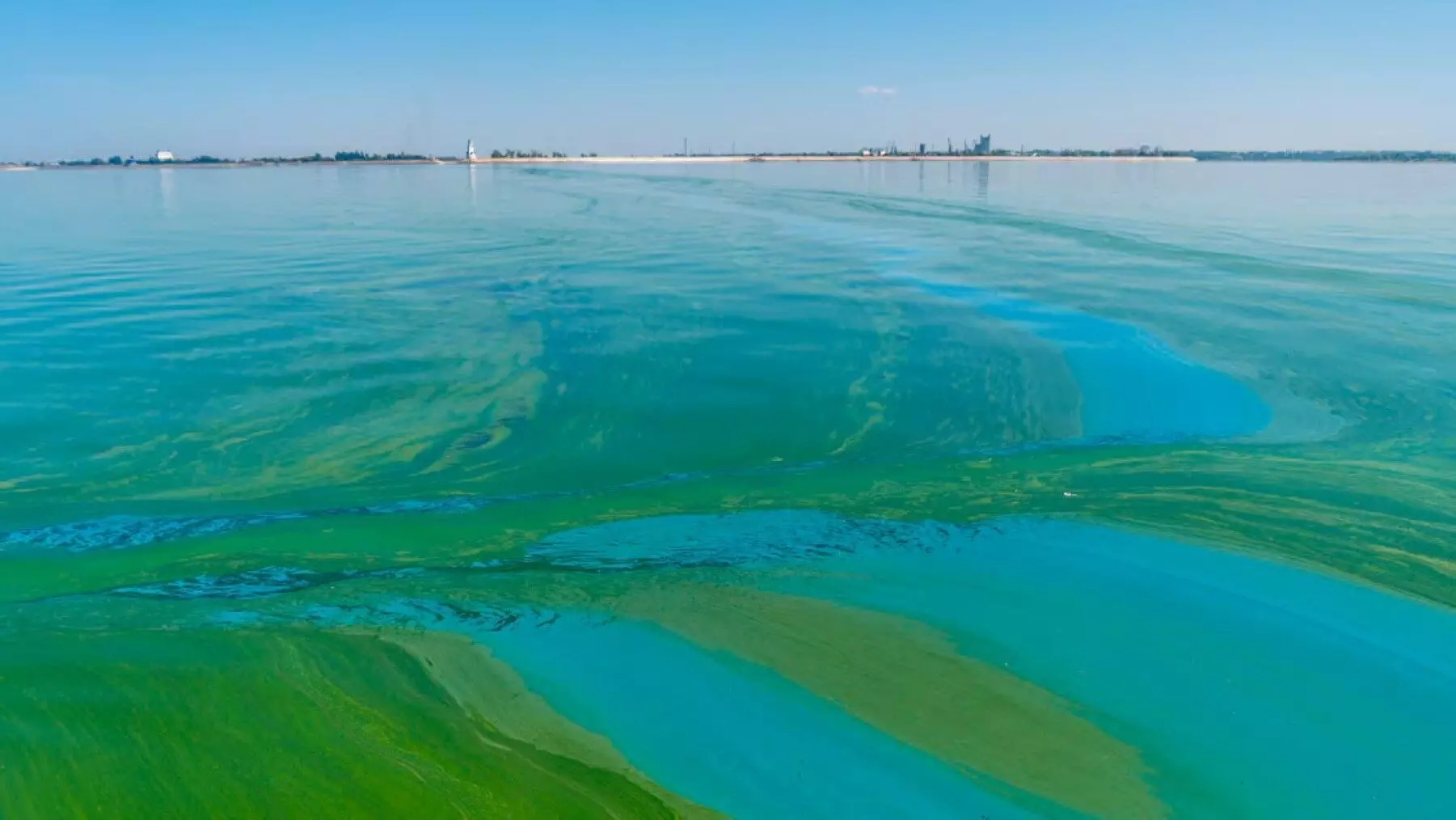 La contaminación difusa en la cuenca del Segura: un desafío crucial para la planificación hidrológica
