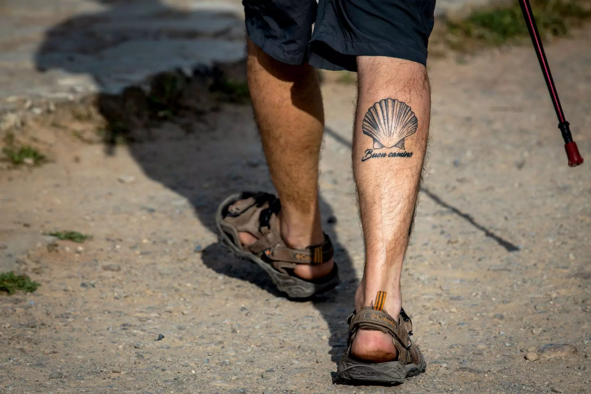Transformando residuos: Un futuro sostenible para los desechos del Camino de Santiago