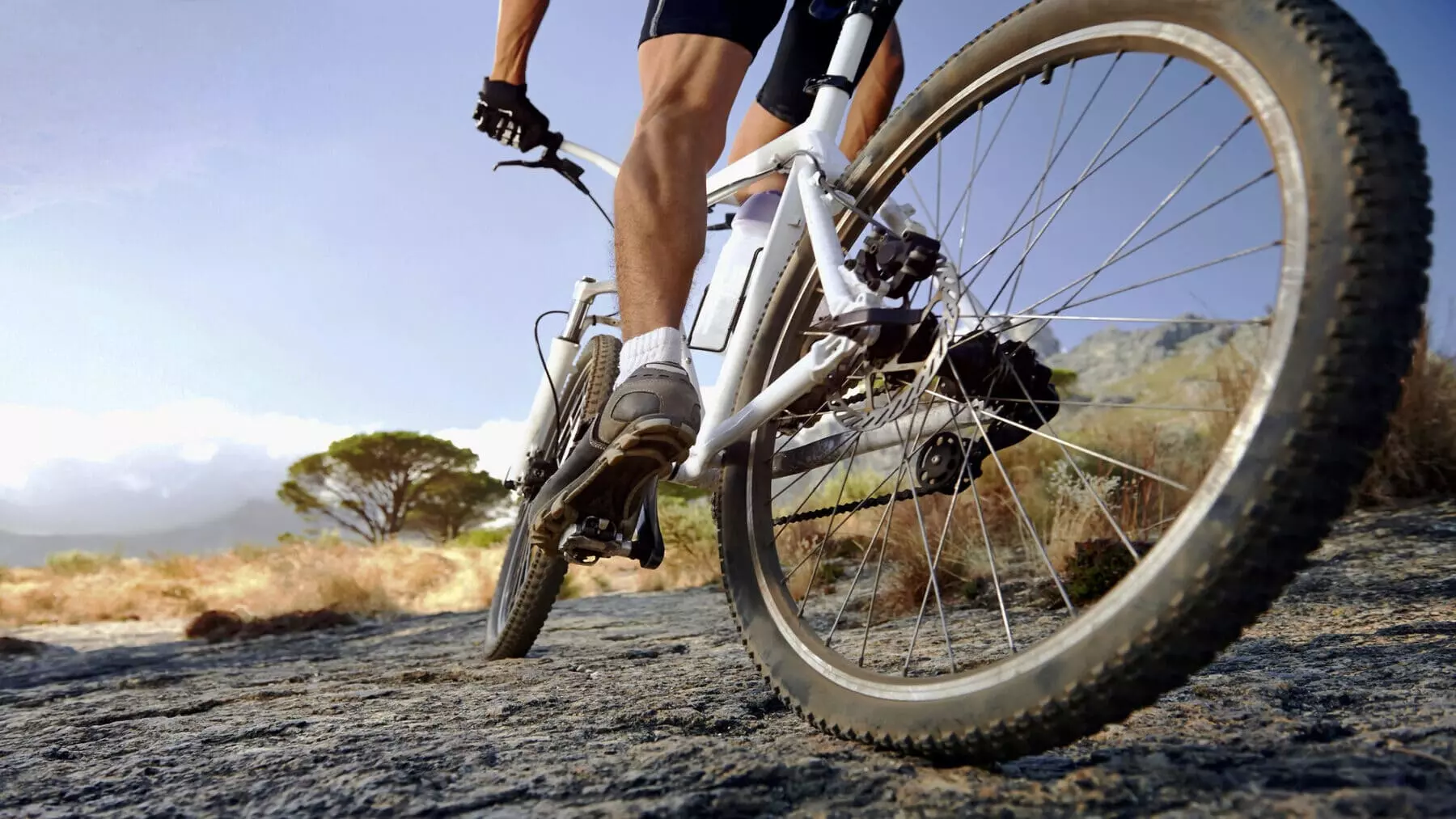 Navarra Potencia el Cicloturismo: Centro Bertiz y Red de Rutas BTT en Baztan-Bidasoa