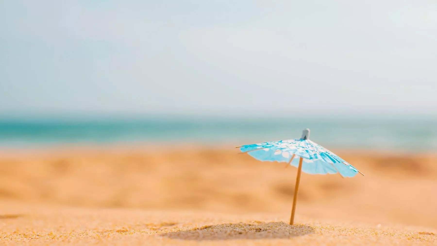 Temperaturas Récord en el Norte de España el 4 de Abril: AEMET Anticipa un Verano Prematuro