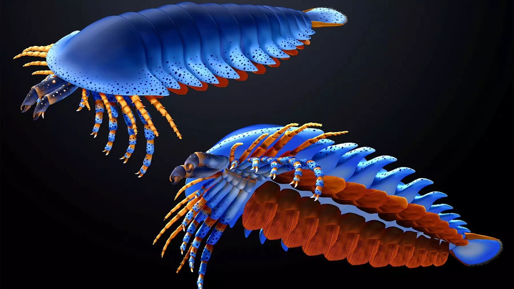 Revelación Fósil: Un Artrópodo Antiguo Redefine la Evolución de las Arañas