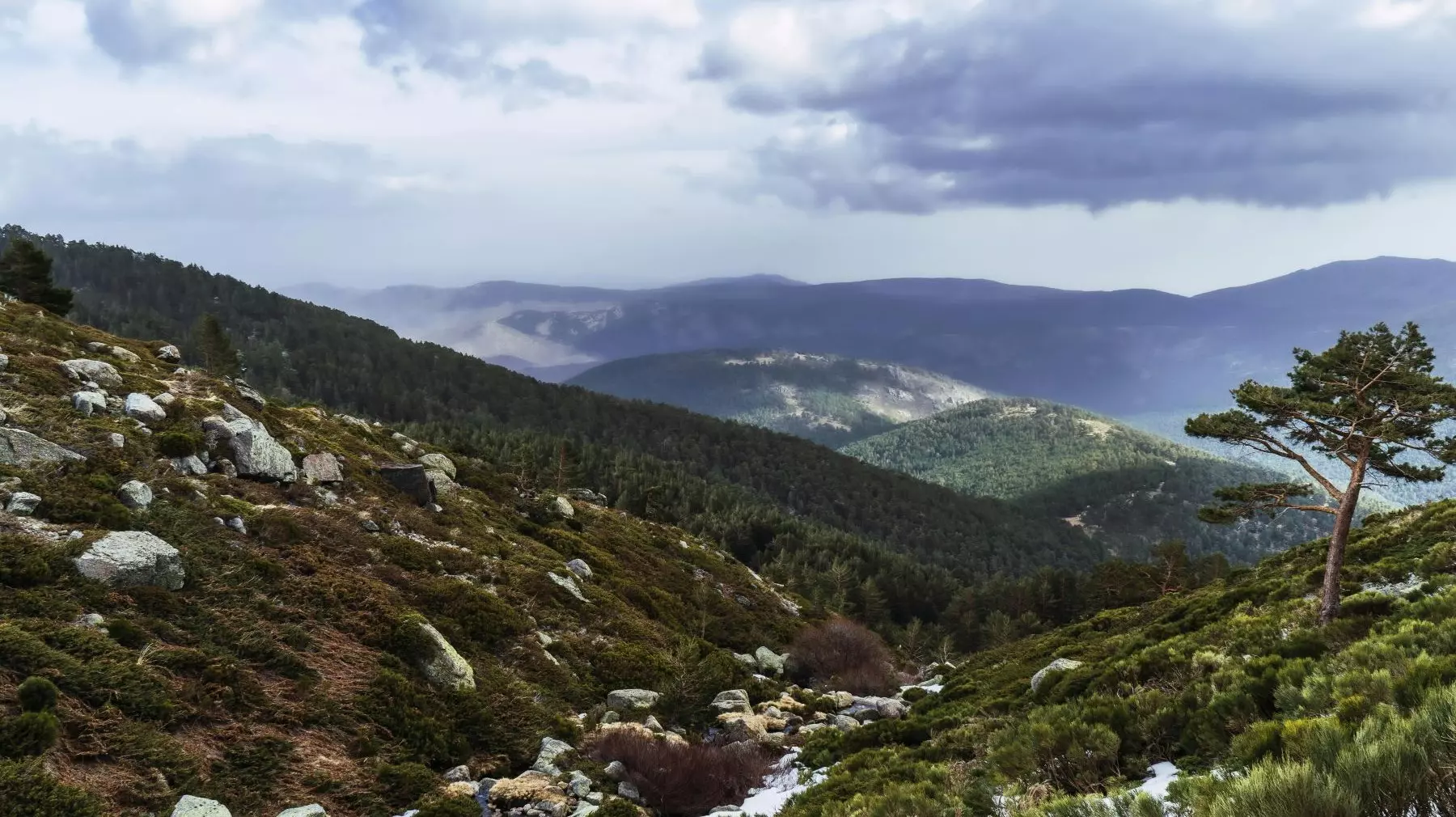 Aumenta la Protección Ecológica en la Sierra de Guadarrama con Nueva Ampliación Territorial